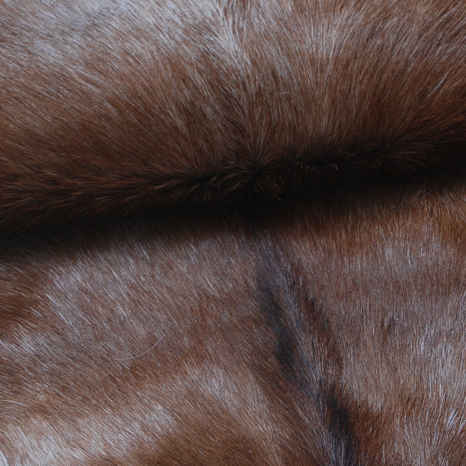 Handcrafted Dark Brown Goat Hide Rug - Soft, Natural Leather for Home Décor