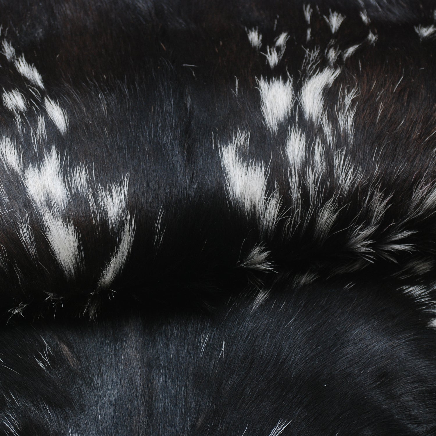 Luxurious Black & White Goat Skin Rug - Premium Quality Rug - Celestial Leather Limited