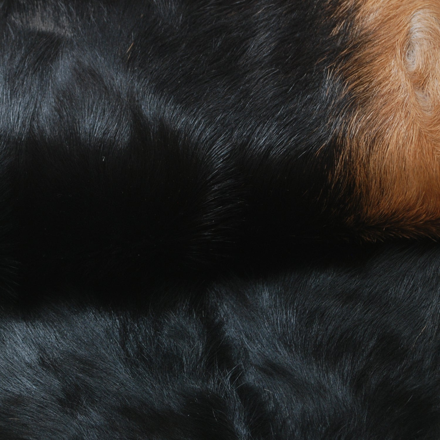 Black and Brown Handmade Goat Skin Rug – Rustic Charm for Your Home