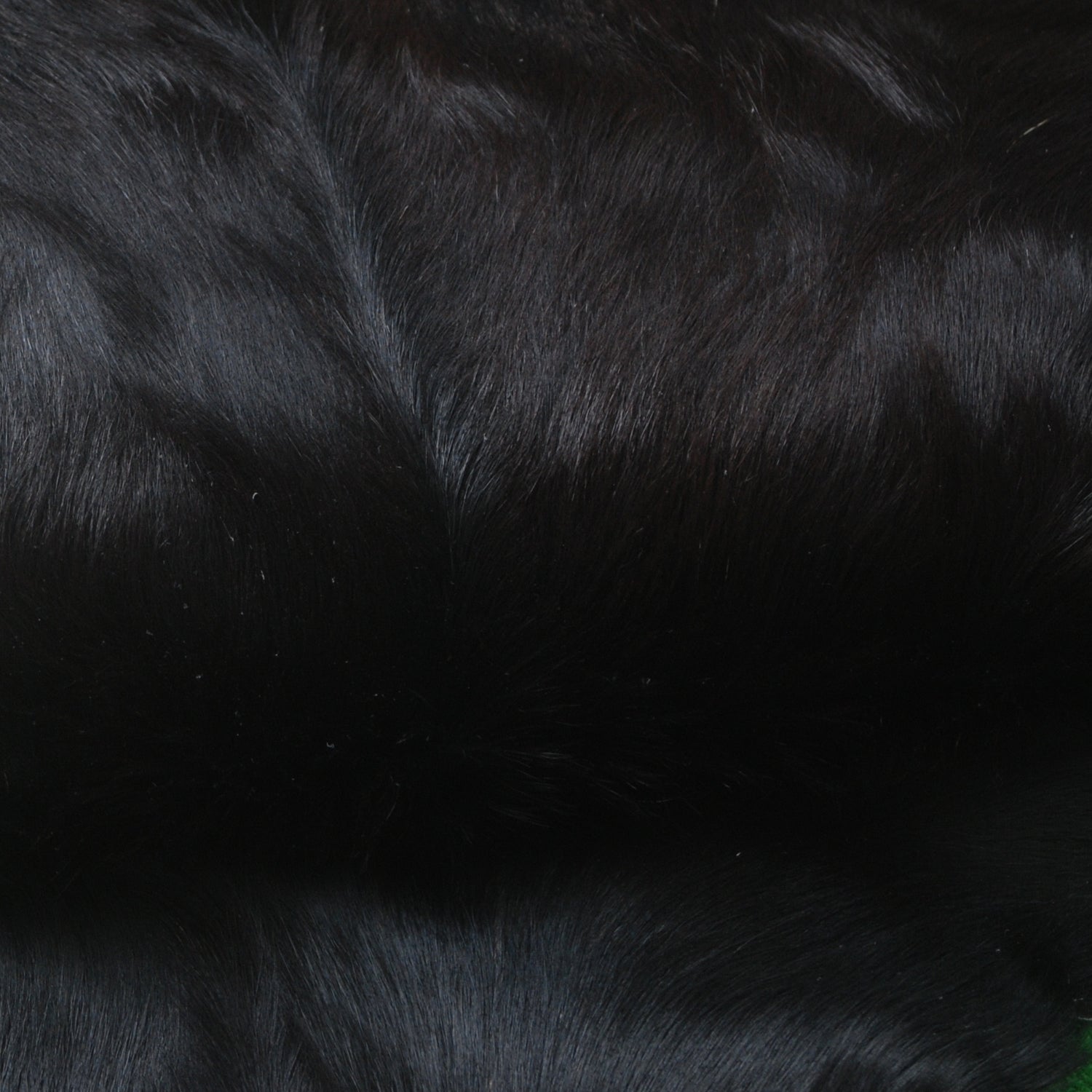 Goat Skin Rug, Handpicked for Quality, Unique Piece for Sale, Fast UK Delivery