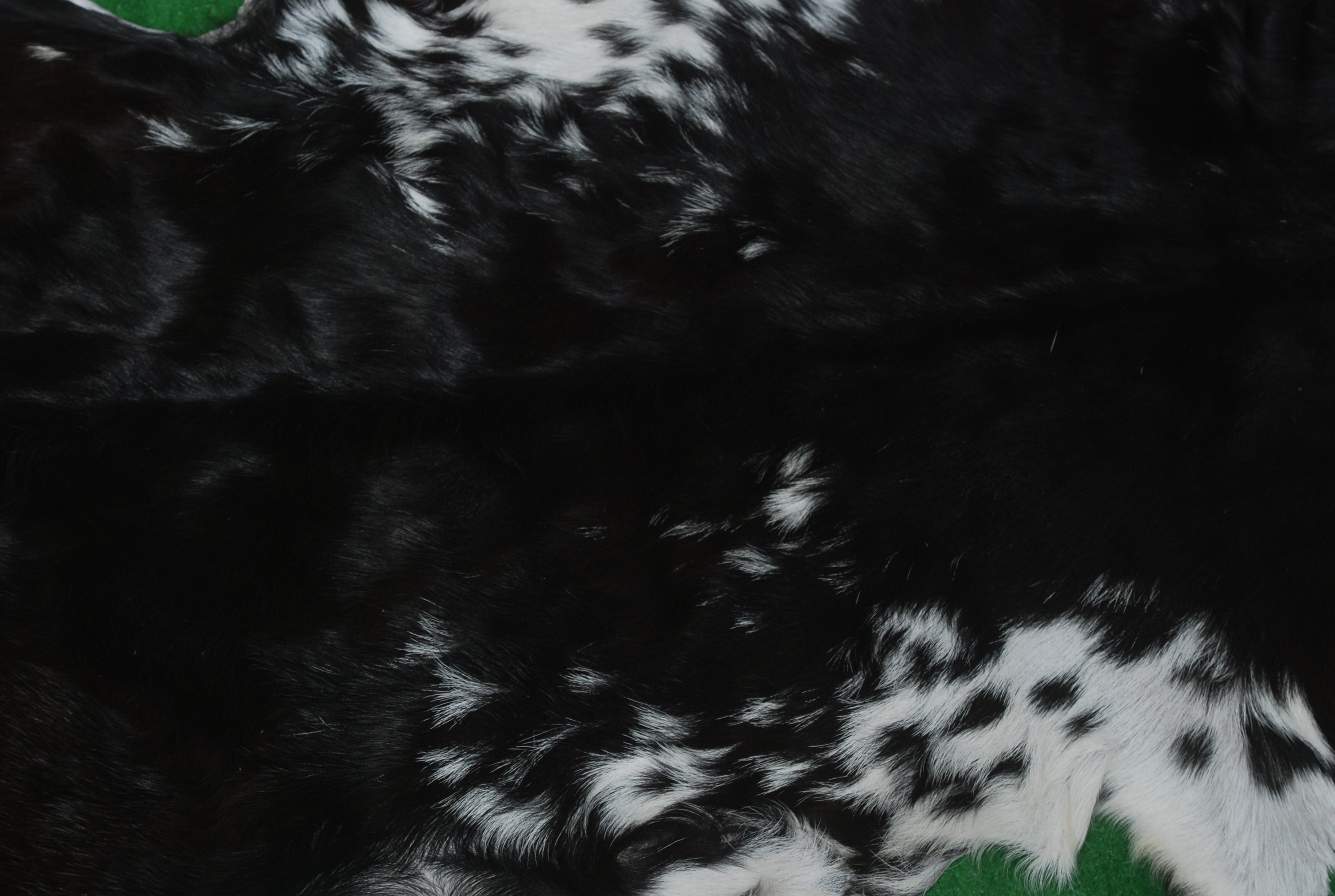 Luxury Black & White Goatskin Rug - Modern Décor, Soft - Pet-Friendly, Unique Natural Hair on Leather, Eco-Friendly Wall Art