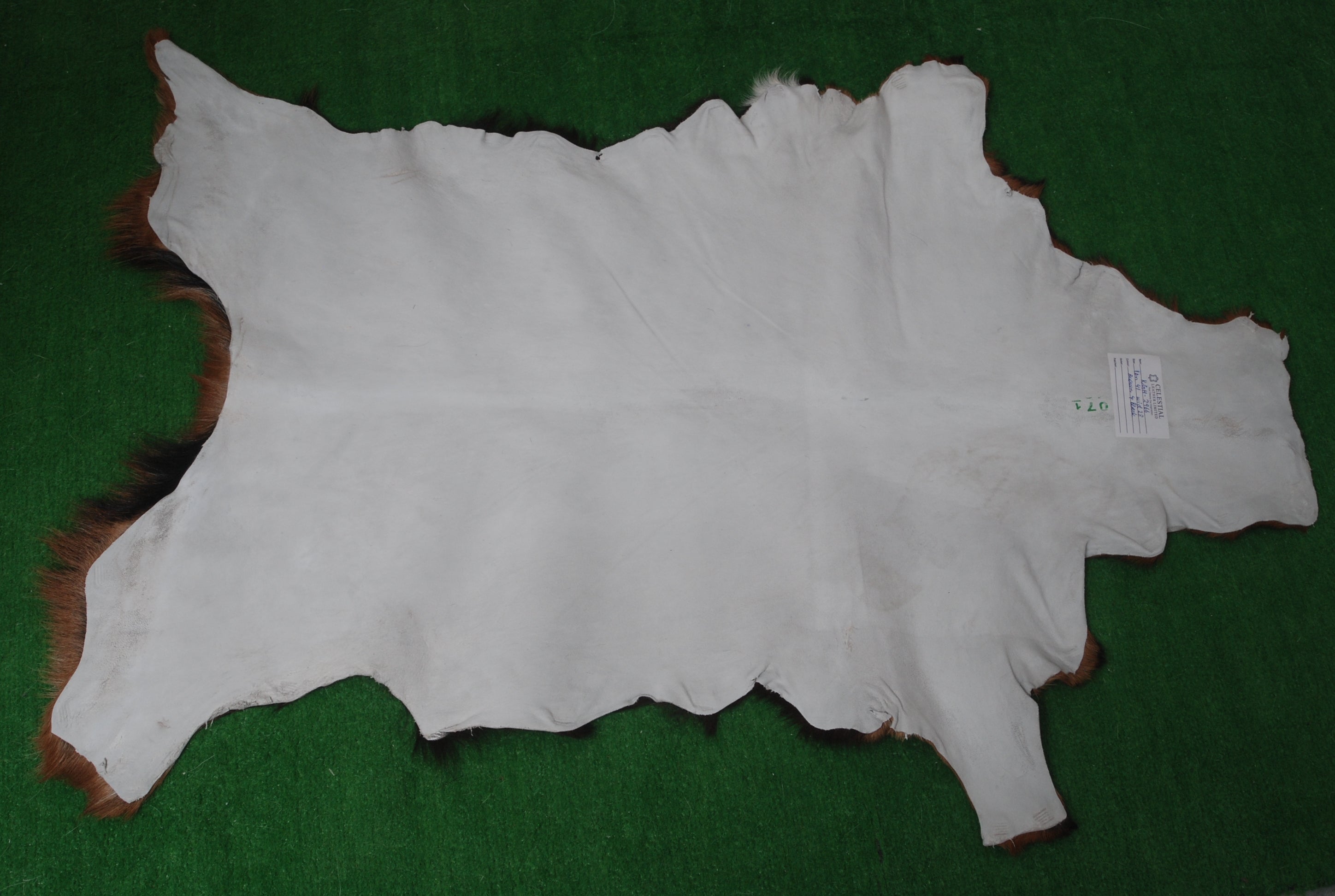 Luxurious Dark Brown Goat Skin Rug | Modern Sophistication - Celestial Leather Limited