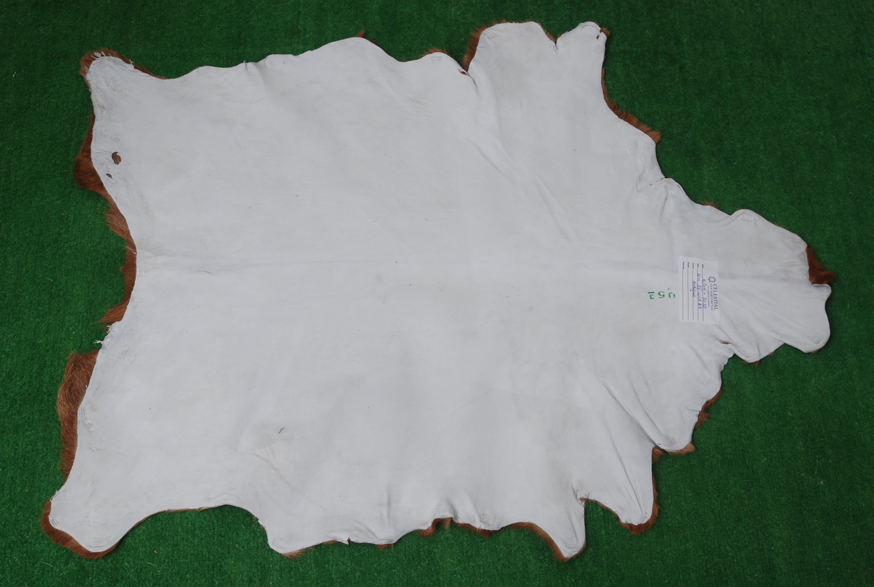 Authentic Hair-On Goat Skin Rug - Brown and White Pattern for Stylish Interiors