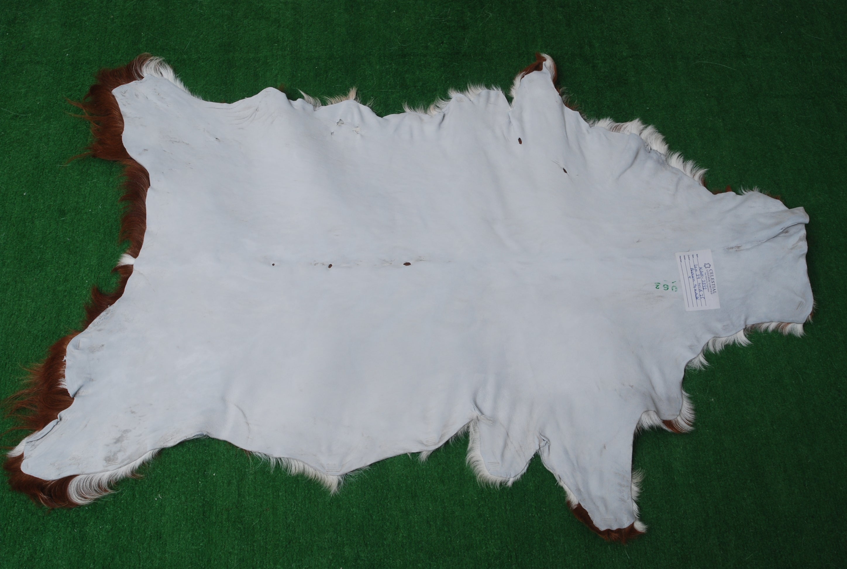 Luxury Brown and White Goat Hide Rug | Premium Hair-On Skin | Handpicked Unique Patterns | Sustainable and Eco-Friendly