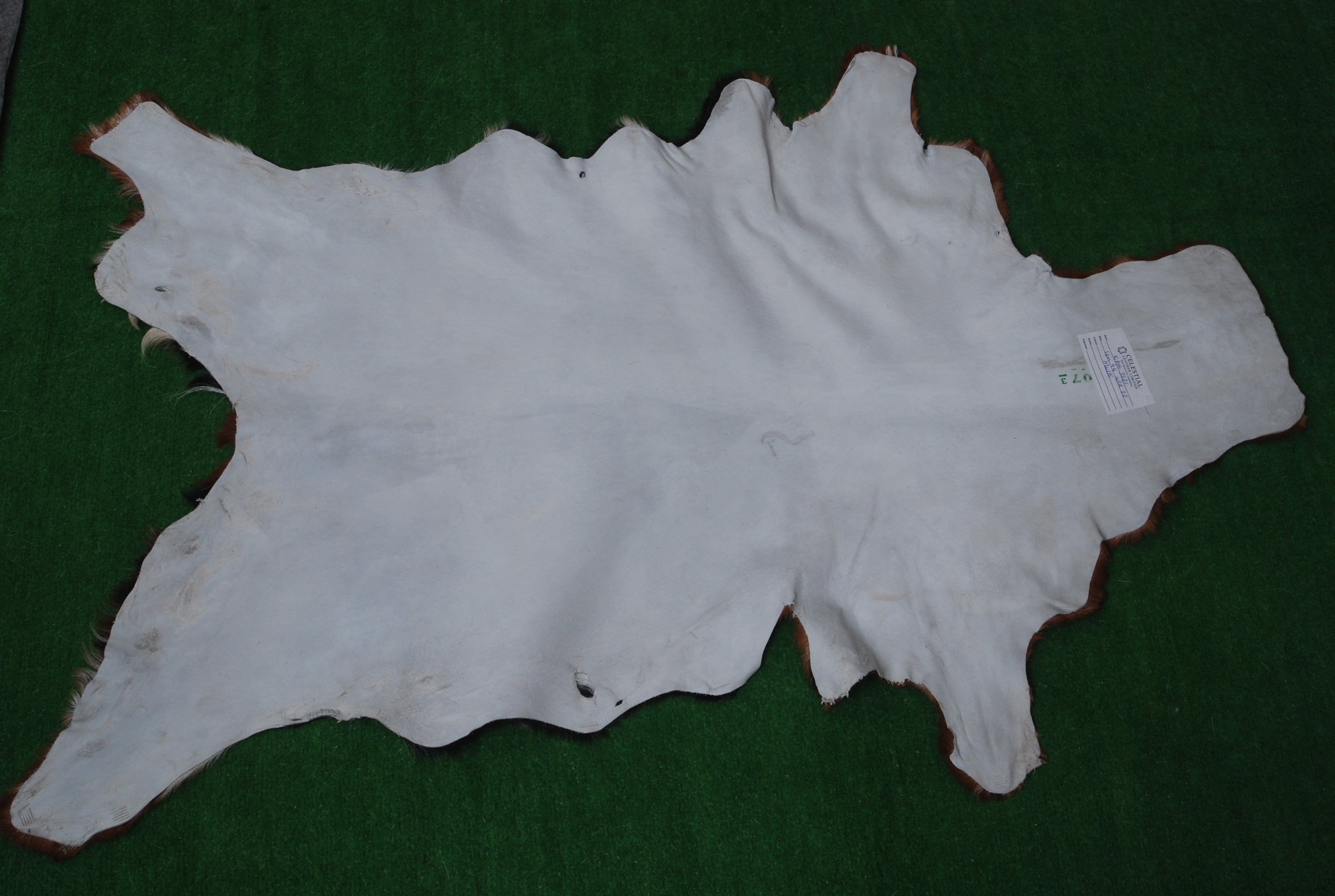 Luxurious Handmade Multicolour Goat Skin Rug - Soft, Pet-Friendly, Eco-Friendly, Non-Shedding & Unique Art Piece for Your Home - Celestial Leather Limited