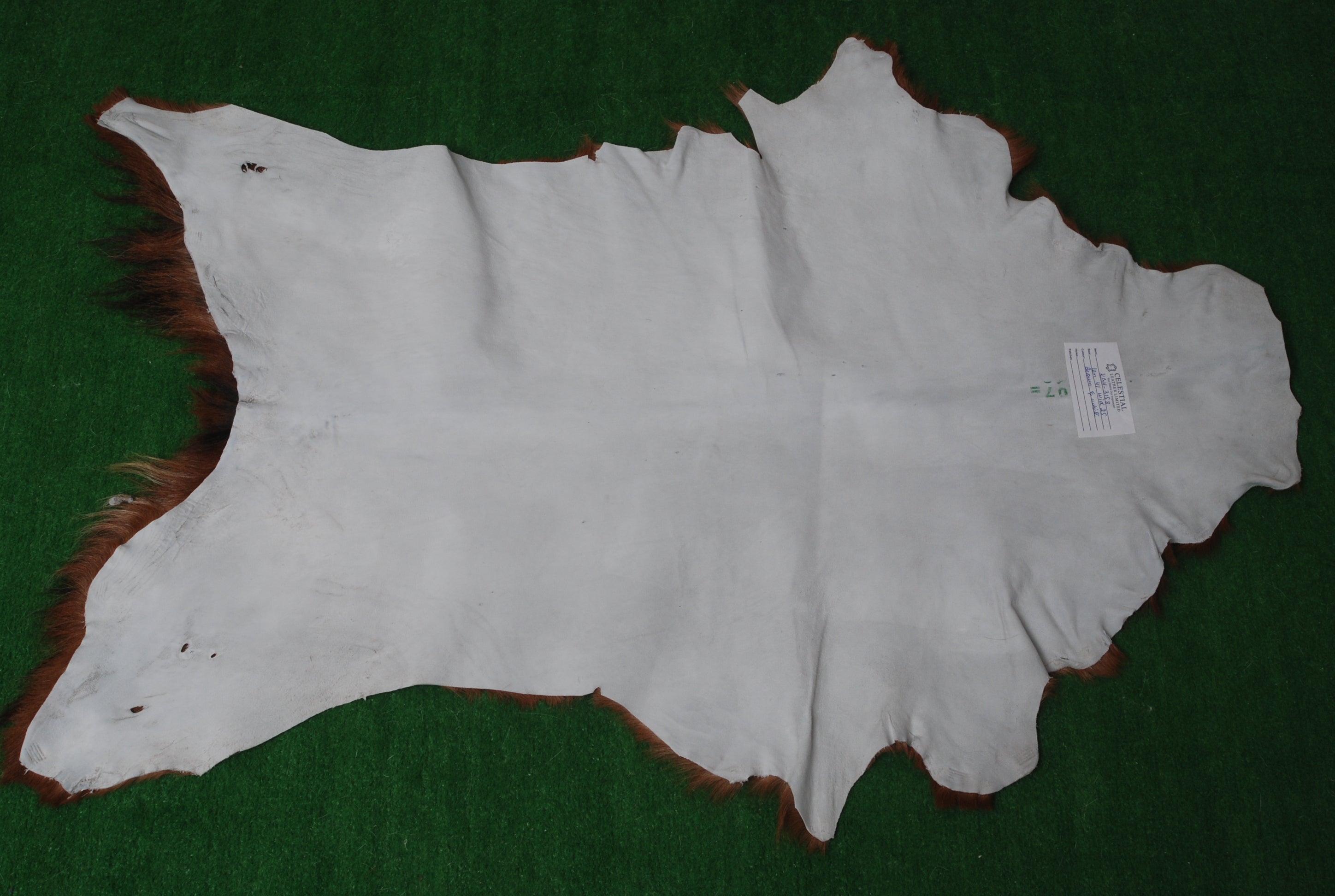 Decorative Dark Brown Goat Skin Rug - Luxurious Touch for Living Spaces