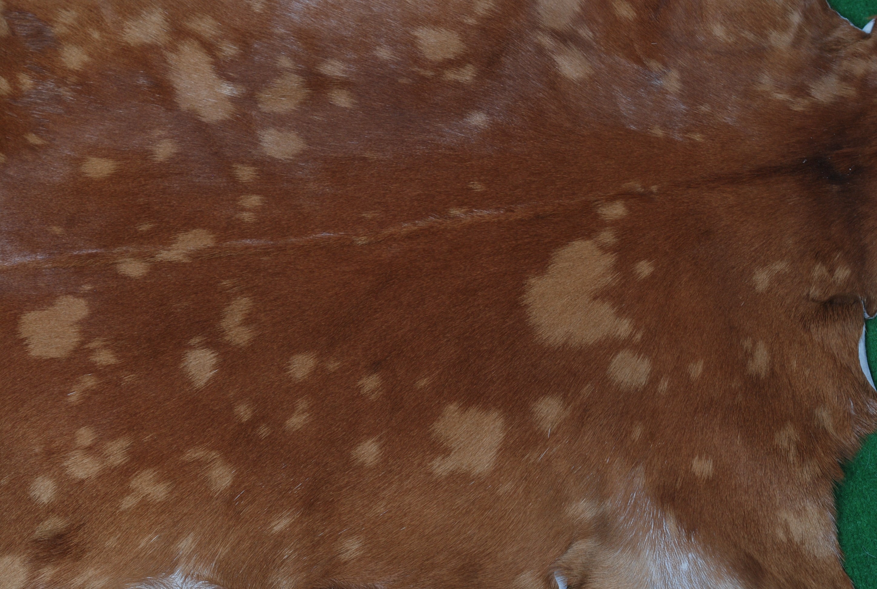 Authentic Hair-On Goat Skin Rug - Brown and White Pattern for Stylish Interiors