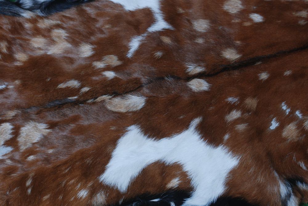 Luxurious Handmade Multicolour Goat Skin Rug - Soft, Pet-Friendly, Eco-Friendly, Non-Shedding & Unique Art Piece for Your Home - Celestial Leather Limited