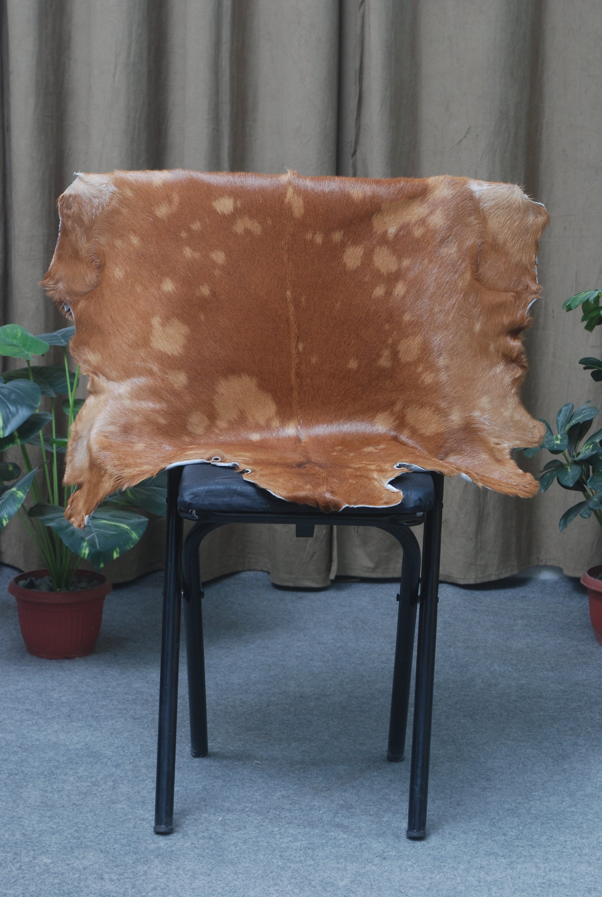 Authentic Hair-On Goat Skin Rug - Brown and White Pattern for Stylish Interiors