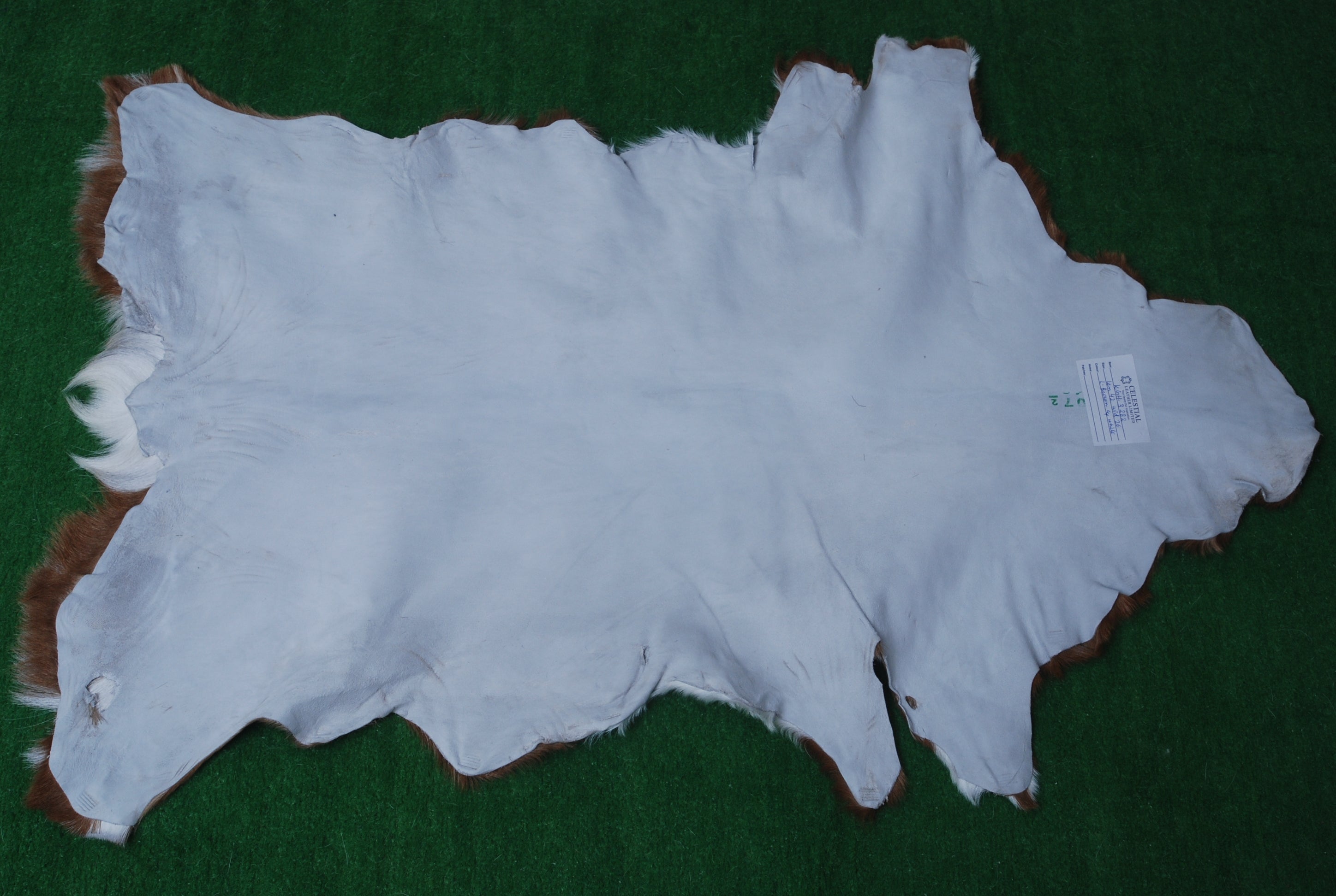 Luxury Multicolor Goat Skin Rug - Handmade from 100% Pure Goat Skin, Hypoallergenic, Non-Slip Suede Back, Sustainable Eco-Friendly Décor - Celestial Leather Limited