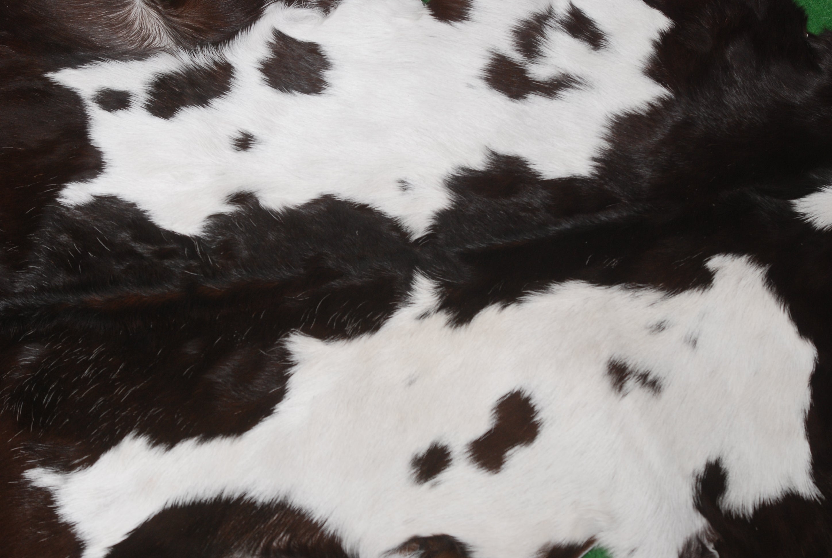 Goat Skin Rug, Handpicked for Quality, Unique Piece for Sale, Fast UK Delivery