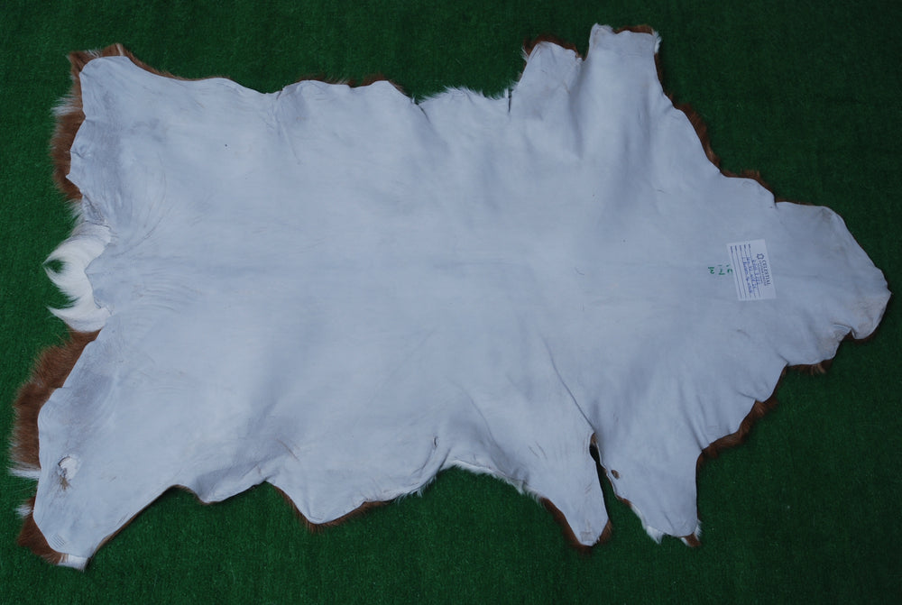 Luxury Multicolor Goat Skin Rug - Handmade from 100% Pure Goat Skin, Hypoallergenic, Non-Slip Suede Back, Sustainable Eco-Friendly Décor - Celestial Leather Limited