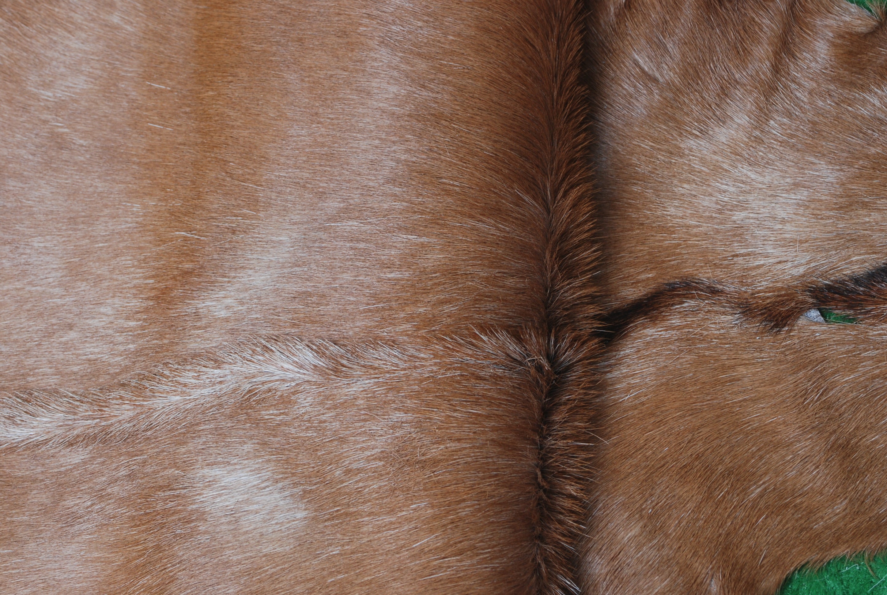 Luxuriously Soft Dark Brown & White Genuine Goat Fur Rug - Eco-Friendly, Non-Shedding, and Hypoallergenic - Unique Patterns - Handcrafted