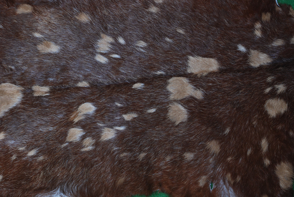 Luxurious Multicolor Goat Skin Rug - Handmade 100% Pure Goat Skin Floor Rug, Unique Colour Variations, Soft & Durable, Eco-Friendly - Celestial Leather Limited