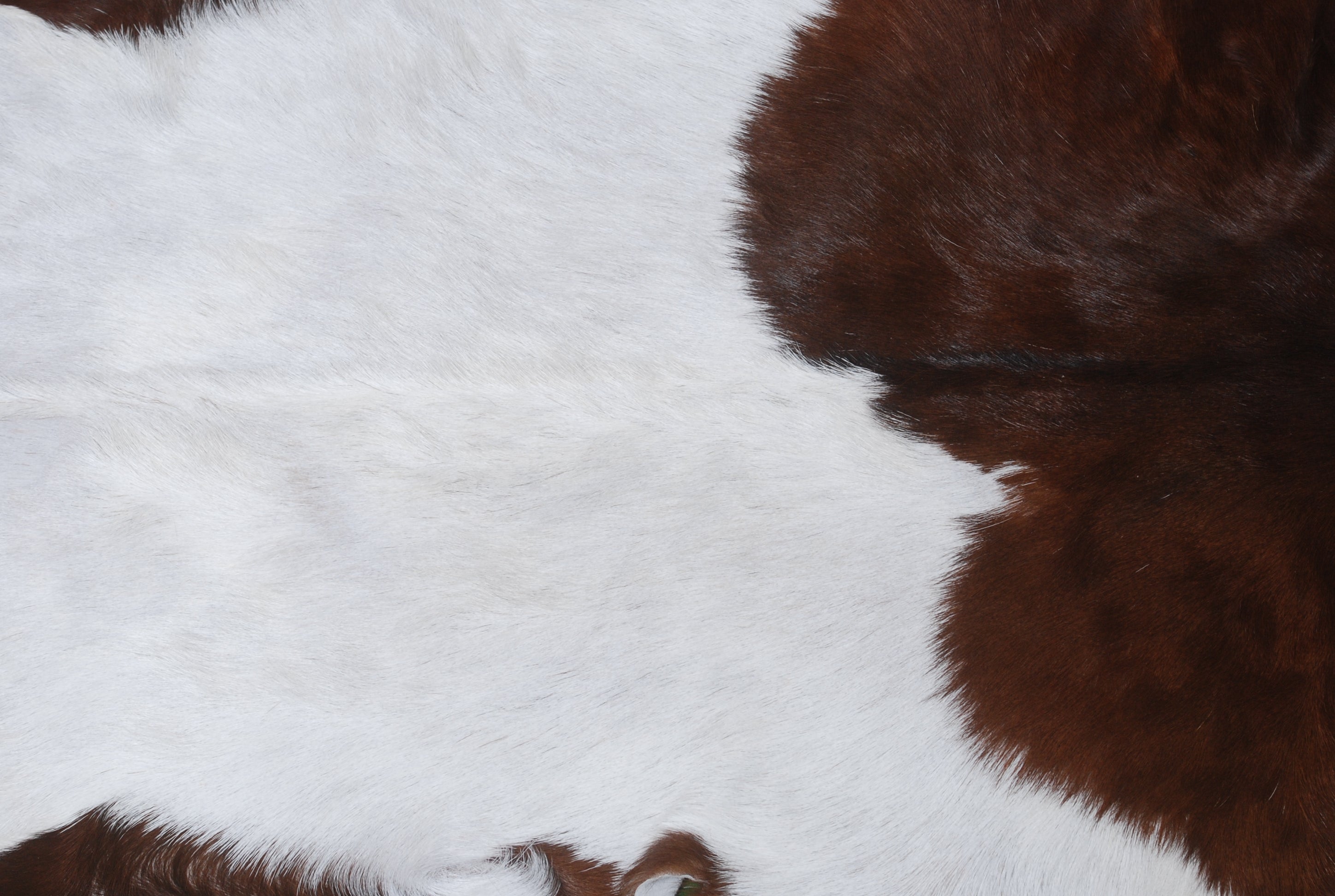 Luxury Brown and White Goat Hide Rug - Natural Premium Hair-On Goat Skin Rug - Handcrafted Eco-Friendly Home Decor