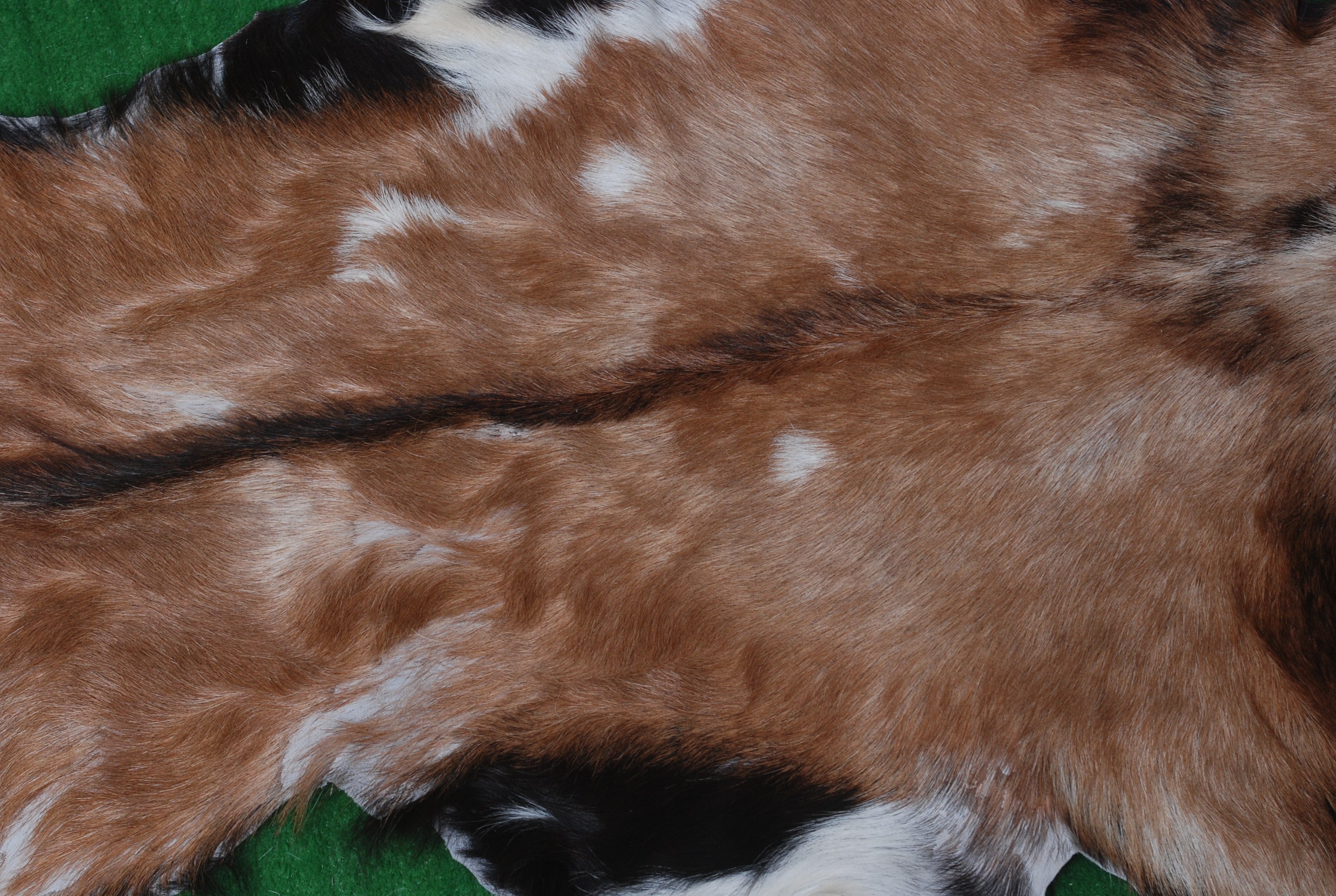 Luxurious Handmade Multicolour Goat Skin Rug - Soft, Kid & Pet Friendly, Hypoallergenic, Non-Shedding, Sustainable - Eco-Friendly