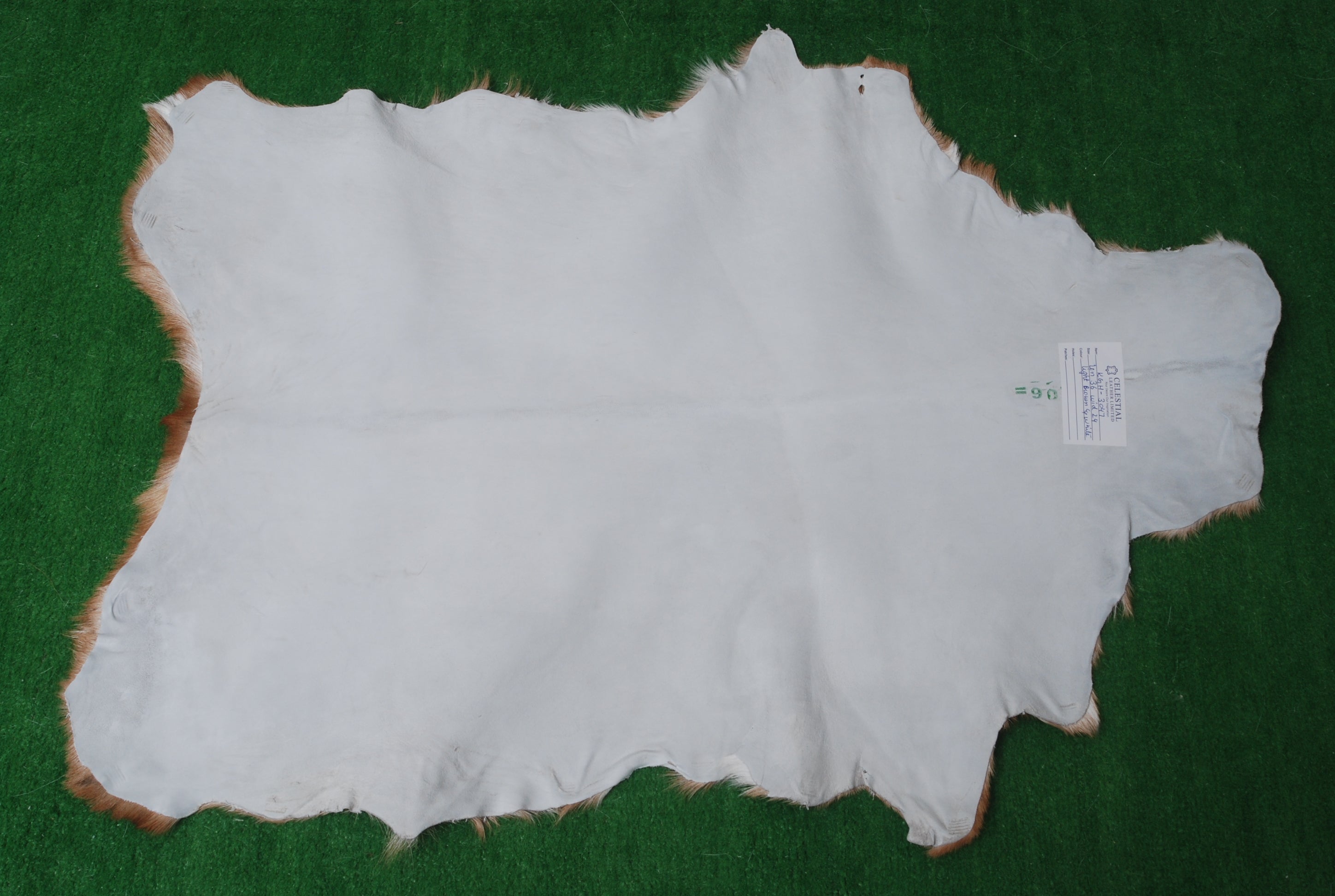 Decorative Brown and White Goat Hide Rug - Perfect for Floor or Wall Accents