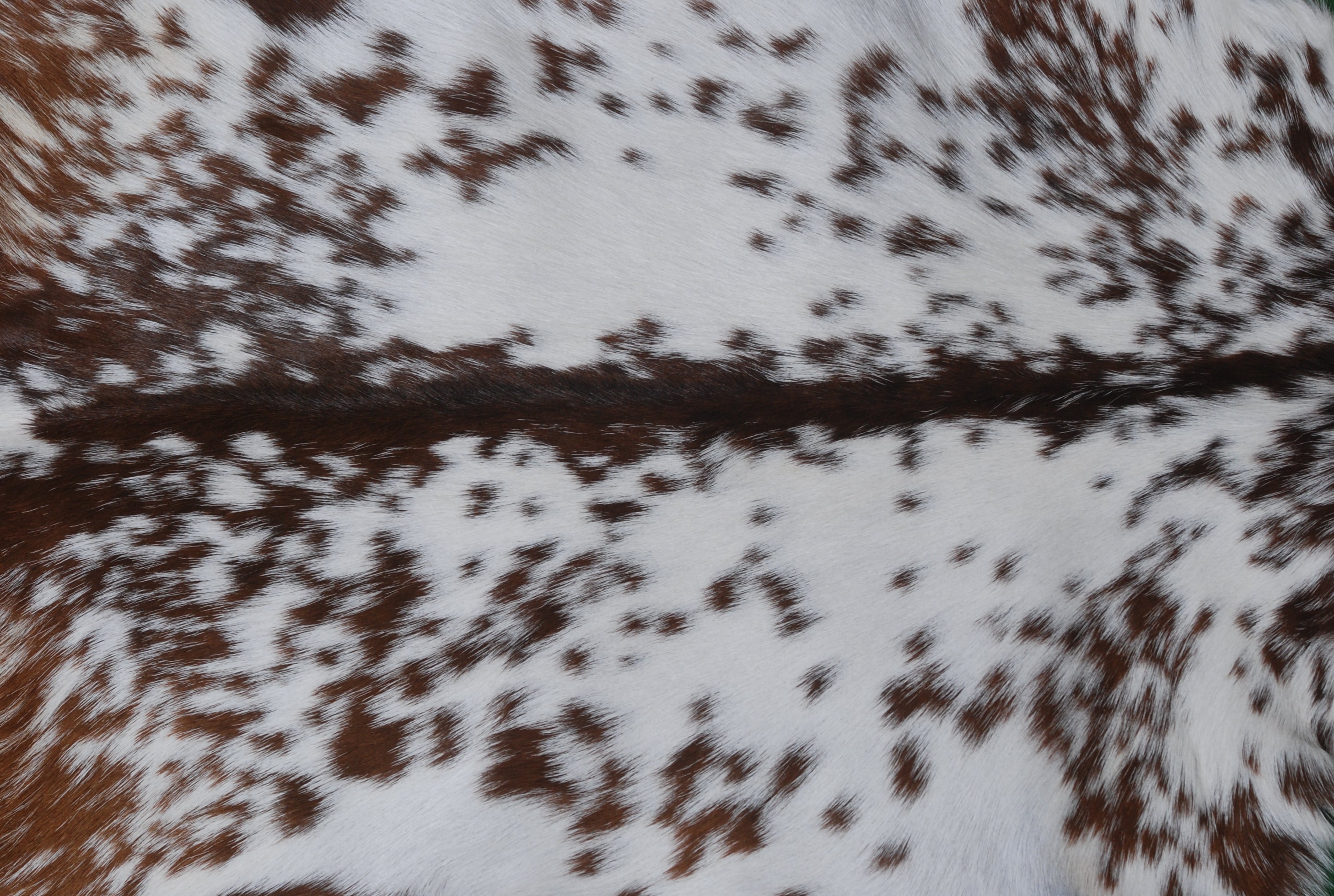 Premium Dark Brown Goat Skin Rug - Rustic Charm for Modern and Classic Interiors