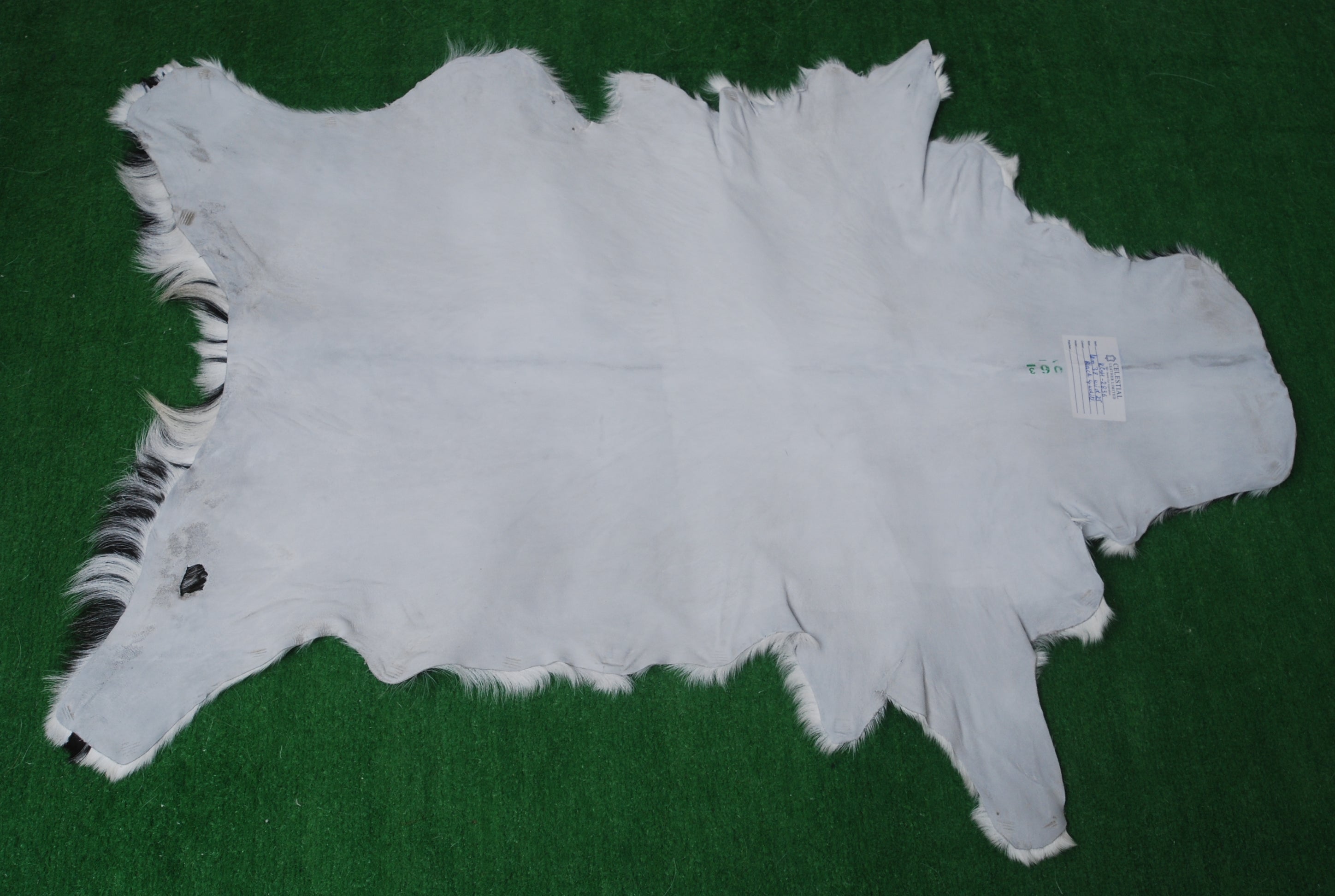 Goat Skin Rug: Elevate Your Living Space with Natural Beauty - Celestial Leather Limited