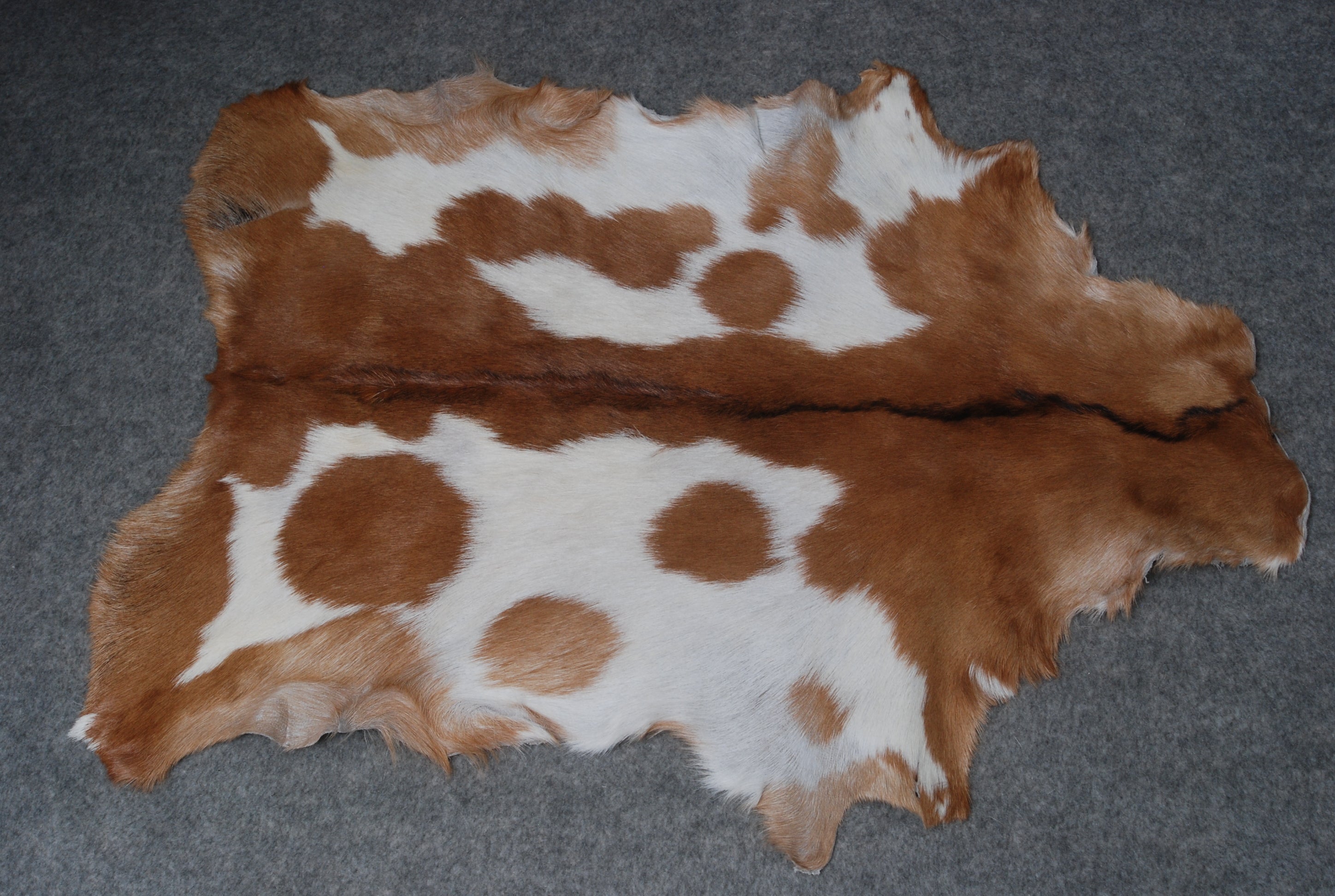 Decorative Brown and White Goat Hide Rug - Perfect for Floor or Wall Accents