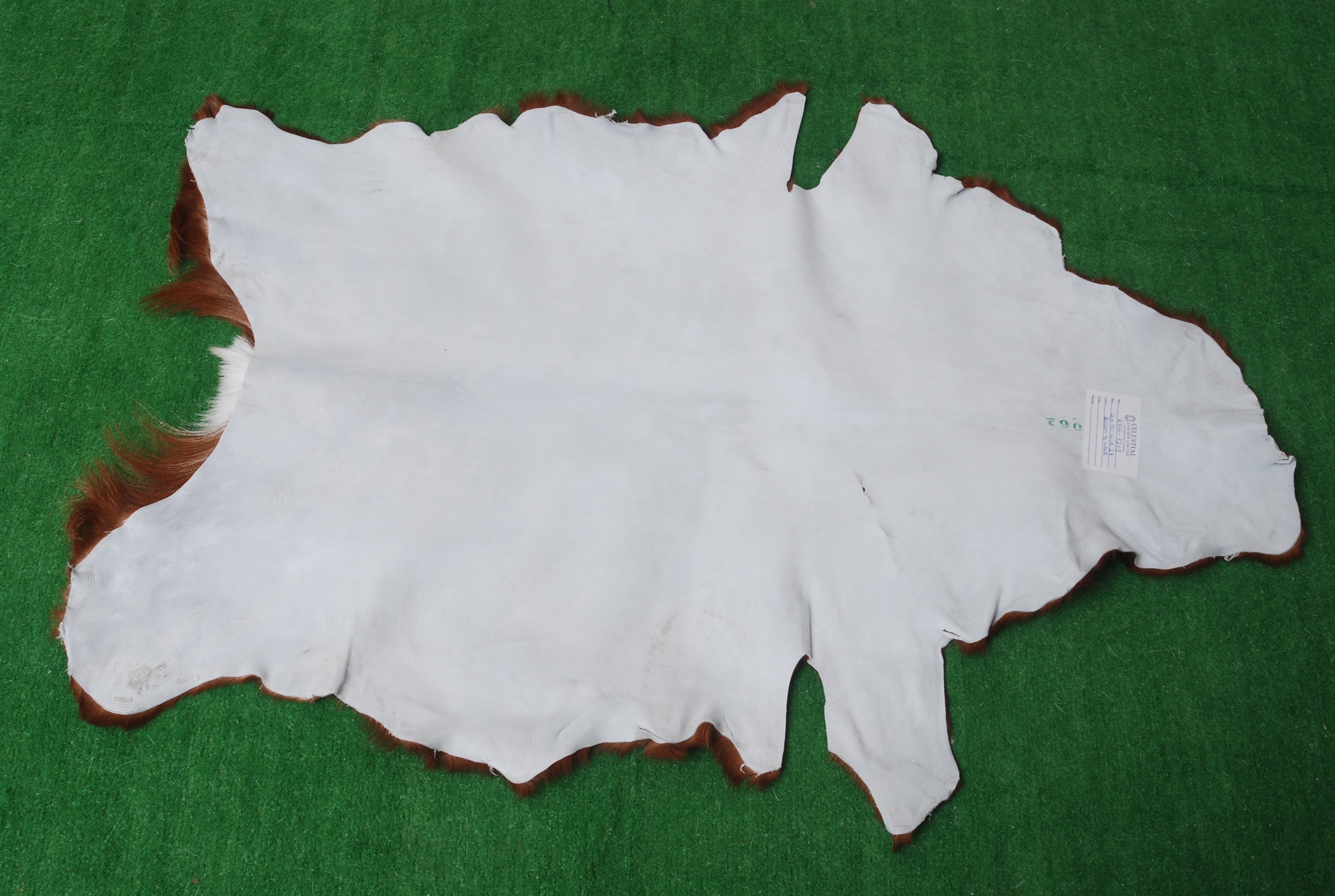 Luxurious Dark brown & White Goat Skin Rug Hide Floor Decoration - Celestial Leather Limited