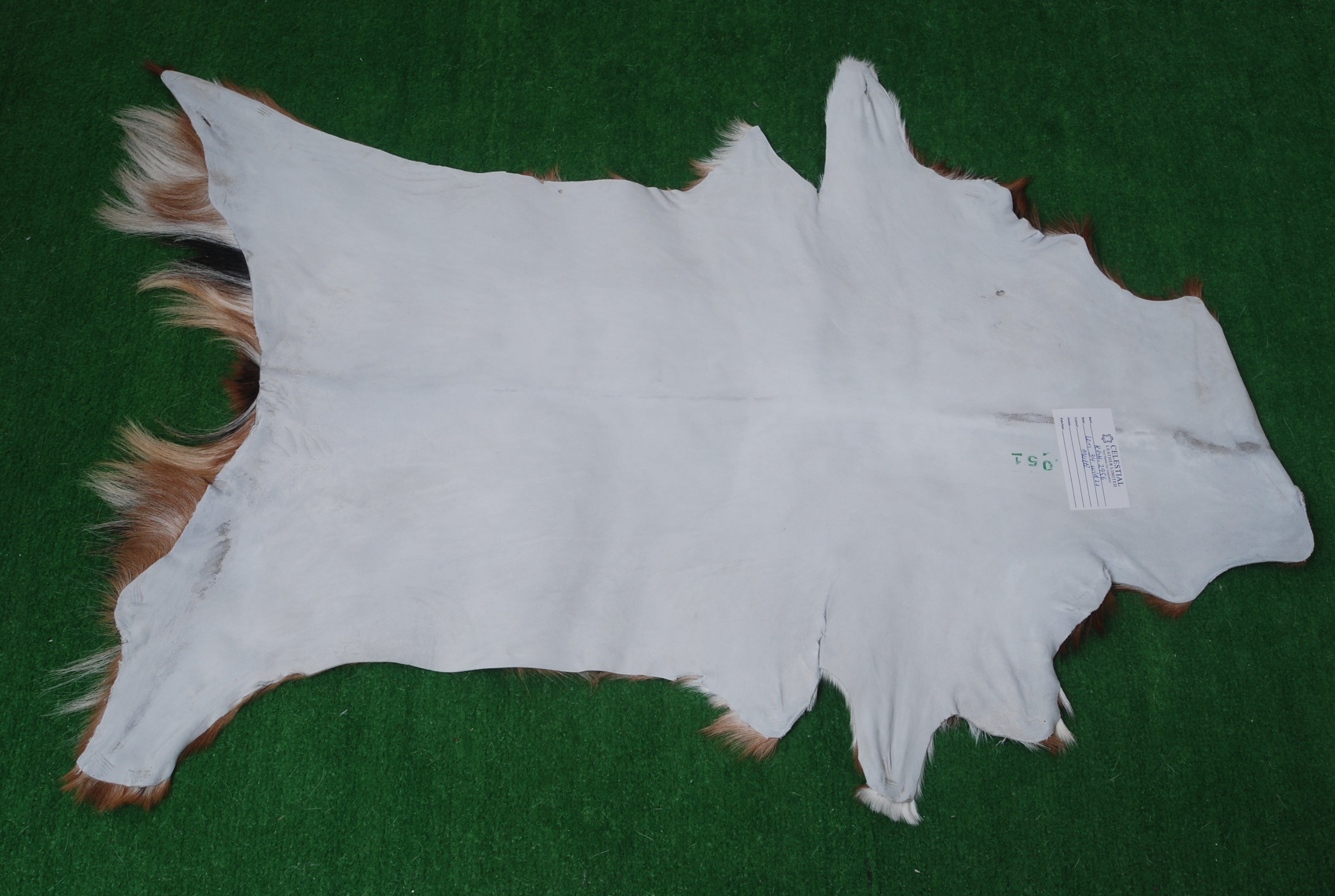 Goat Skin Rug: Tri-Color genuine Goat hide rug