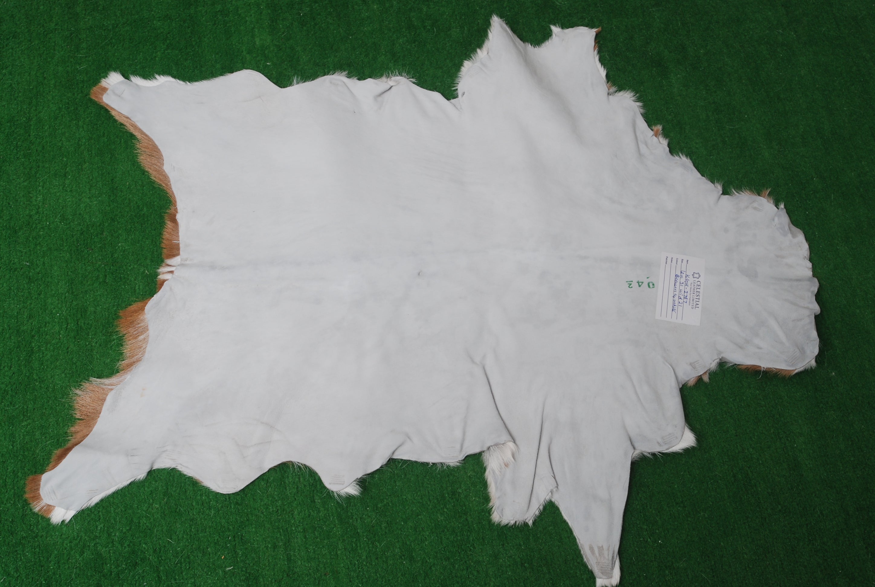 Luxurious Brown & White Genuine Goat Skin Rug for Home Décor