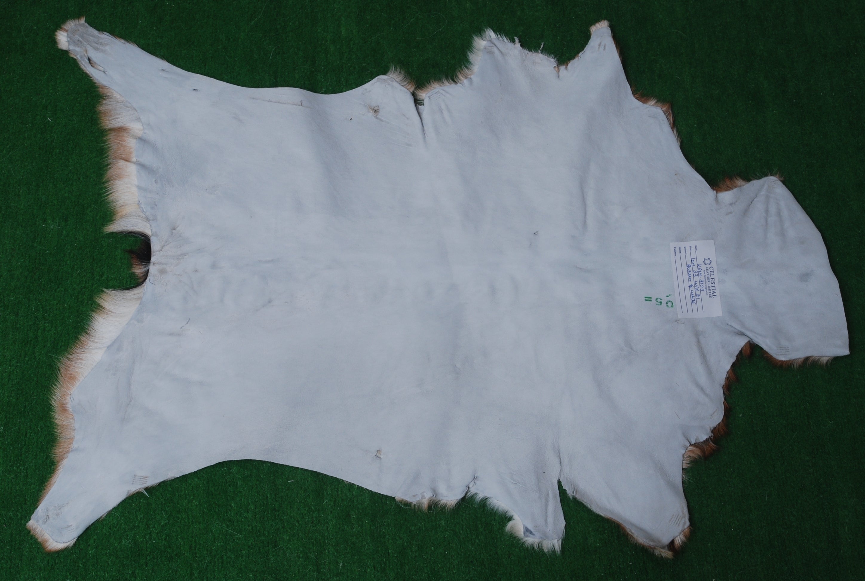 Natural Tri-Color Goat Hide Rug - Luxurious Accent for Rustic and Modern Spaces