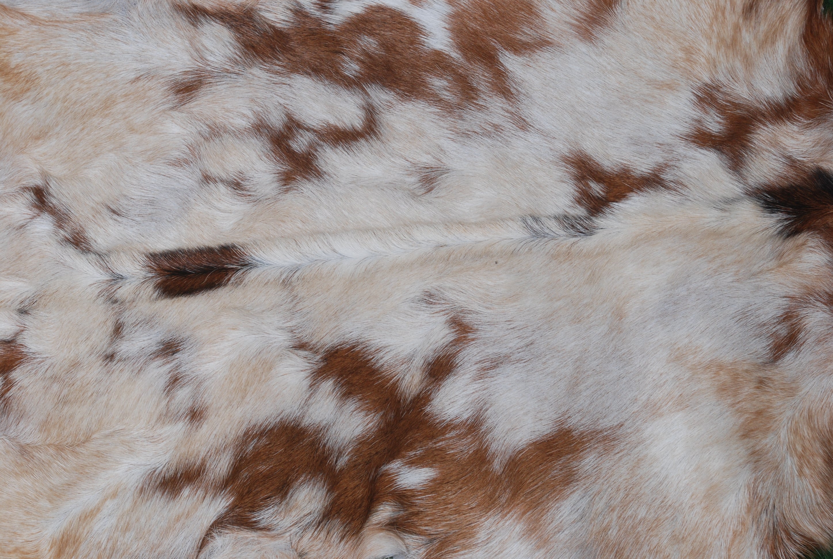 Natural Tri-Color Goat Hide Rug - Luxurious Accent for Rustic and Modern Spaces