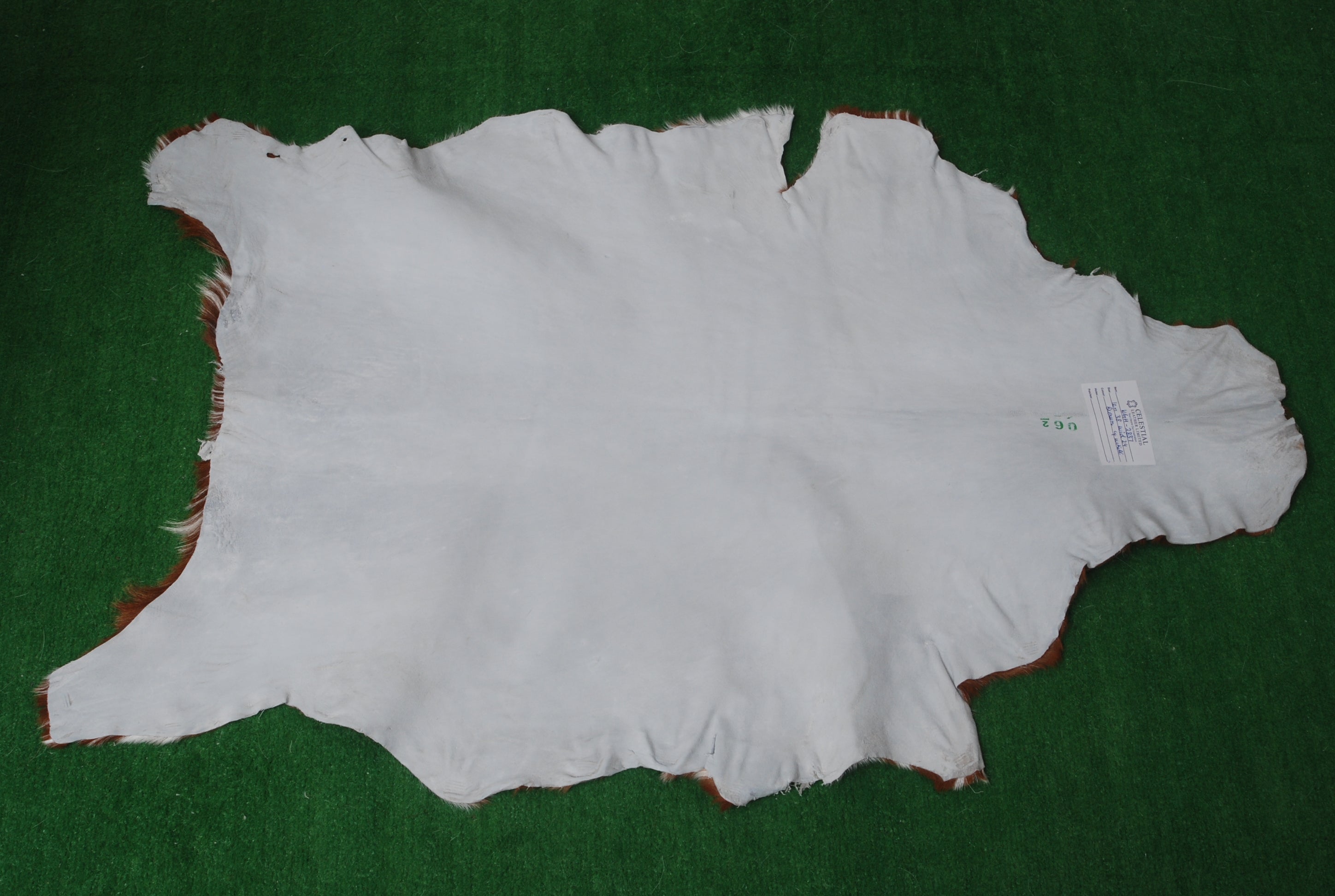 Luxurious Brown and White Goat Hide Rug - Premium Hair-On Goat Skin Rug for Home Décor - Celestial Leather Limited