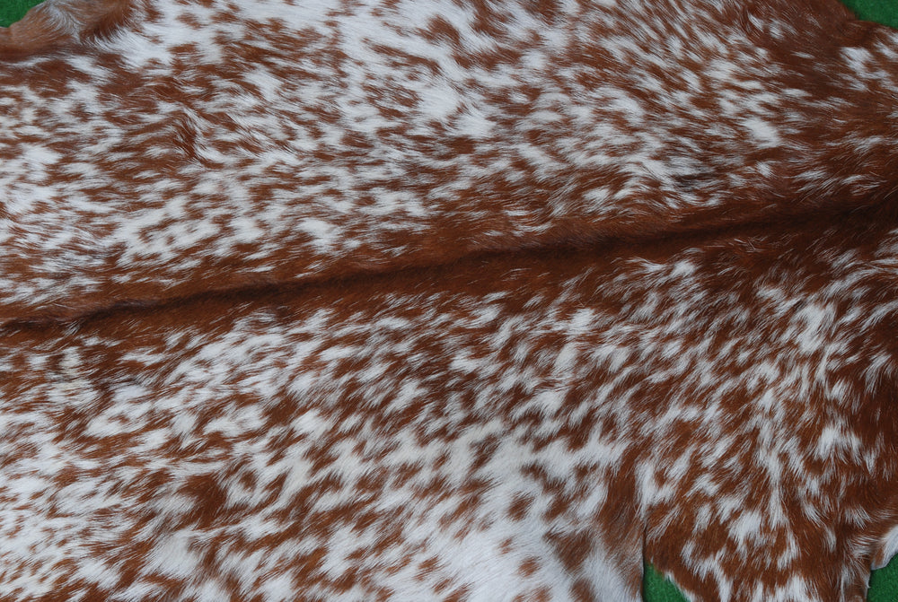 Luxurious Brown and White Goat Hide Rug - Premium Hair-On Goat Skin Rug for Home Décor - Celestial Leather Limited