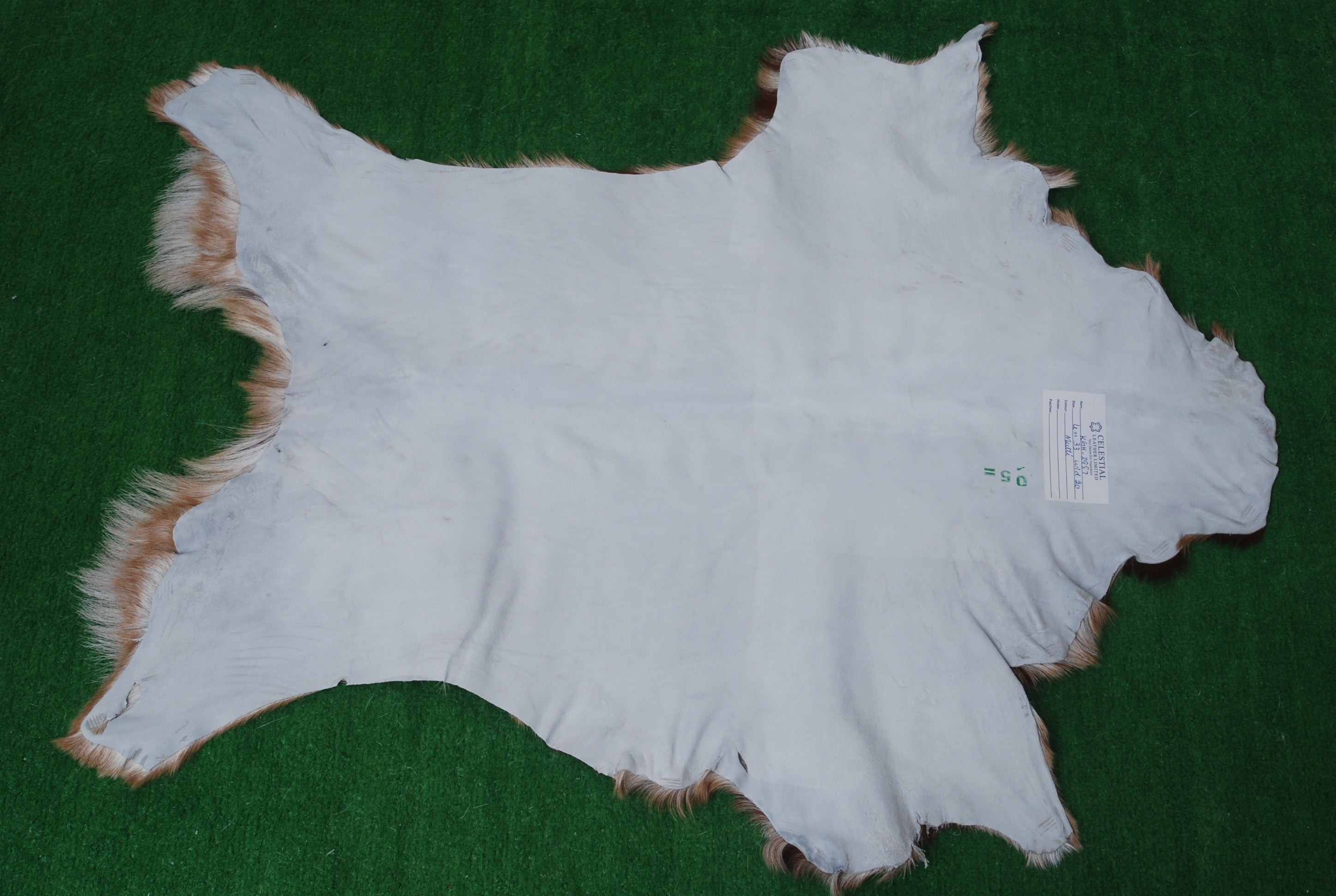 Goat Skin Rug: Tri-Color genuine Goat hide rug