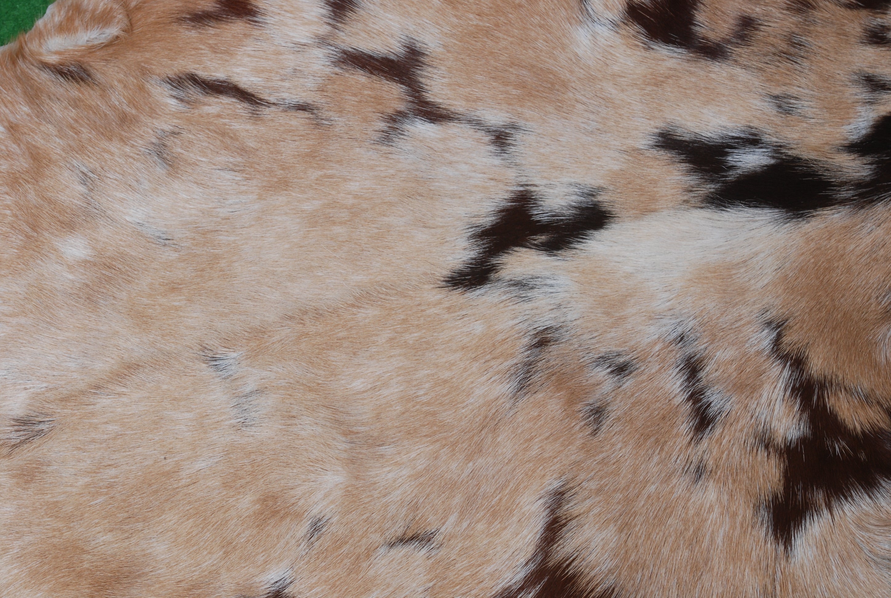 Goat Skin Rug: Tri-Color genuine Goat hide rug