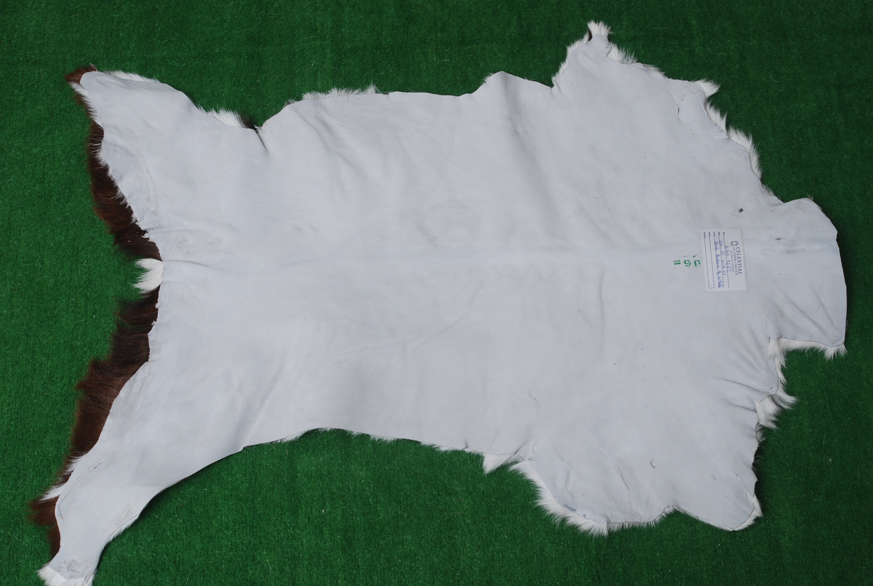 Luxury Brown & White Genuine Goat Hide Rug | Handcrafted Hair-On Goatskin | Eco-Friendly - Hypoallergenic | Premium Natural Goat Skin Rug