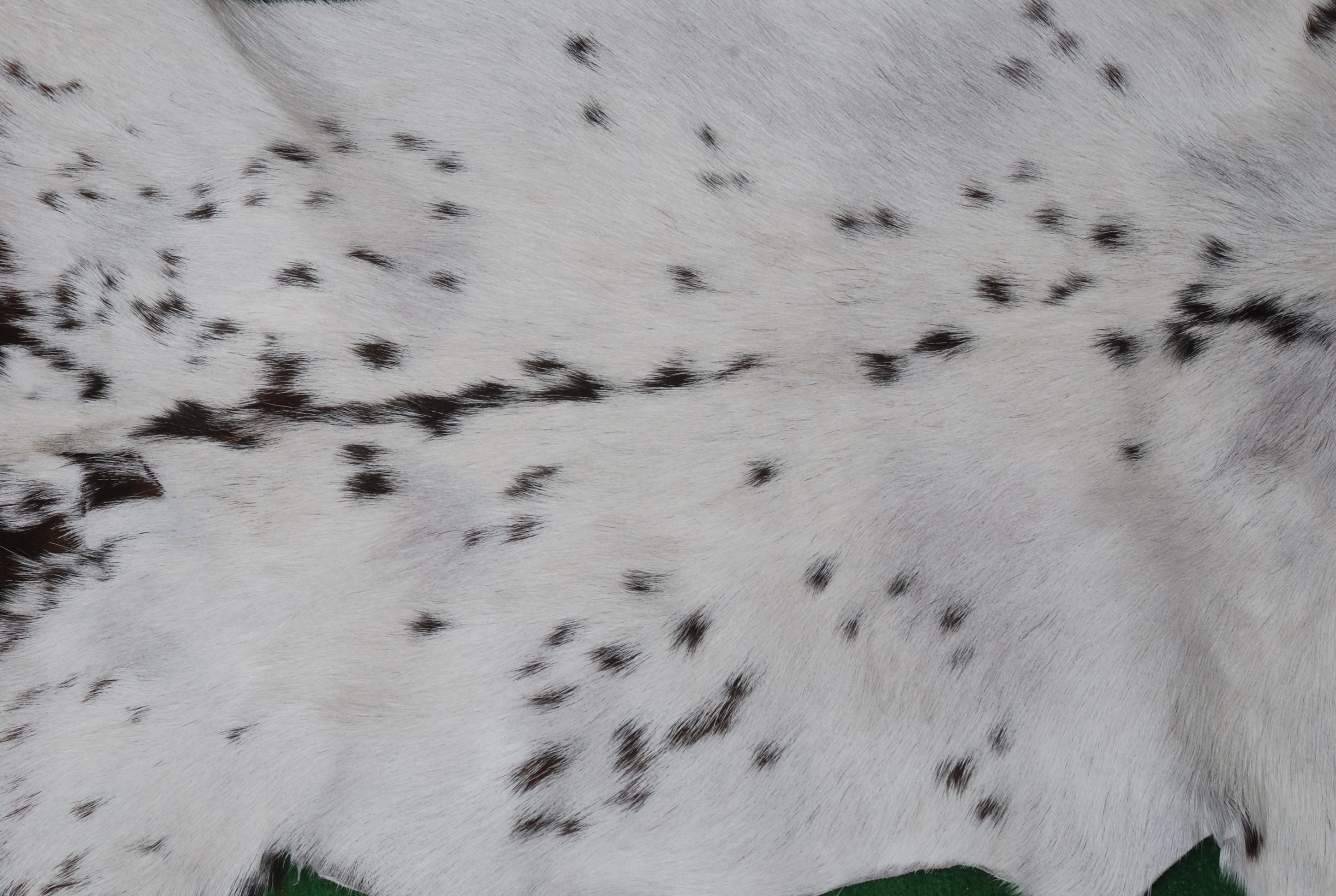 Luxury Brown & White Genuine Goat Hide Rug | Handcrafted Hair-On Goatskin | Eco-Friendly - Hypoallergenic | Premium Natural Goat Skin Rug