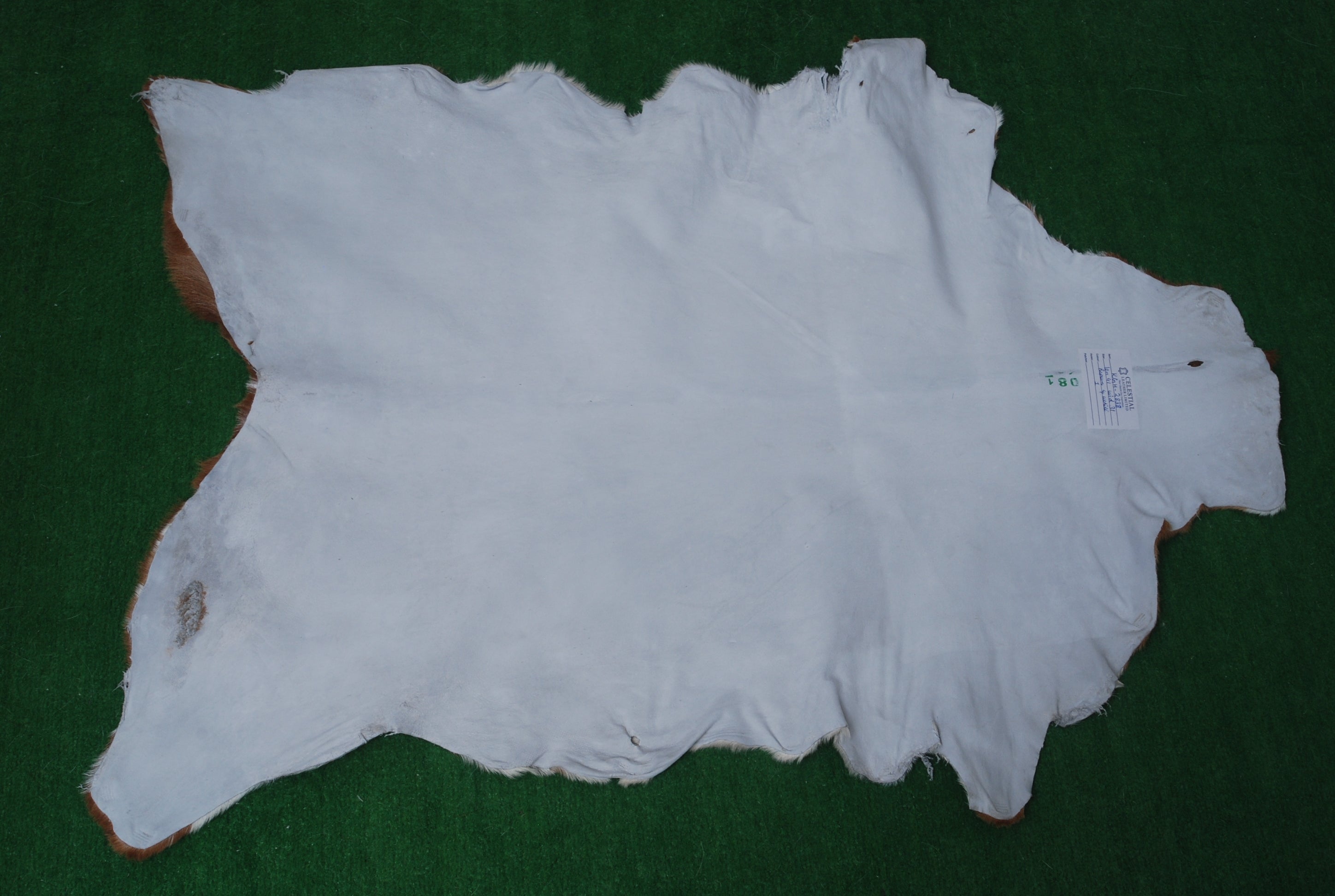 Luxurious Brown & White Premium Goatskin Rug | Handcrafted Hair-On Rug for Timeless Elegance - Sophistication in Any Room - Celestial Leather Limited