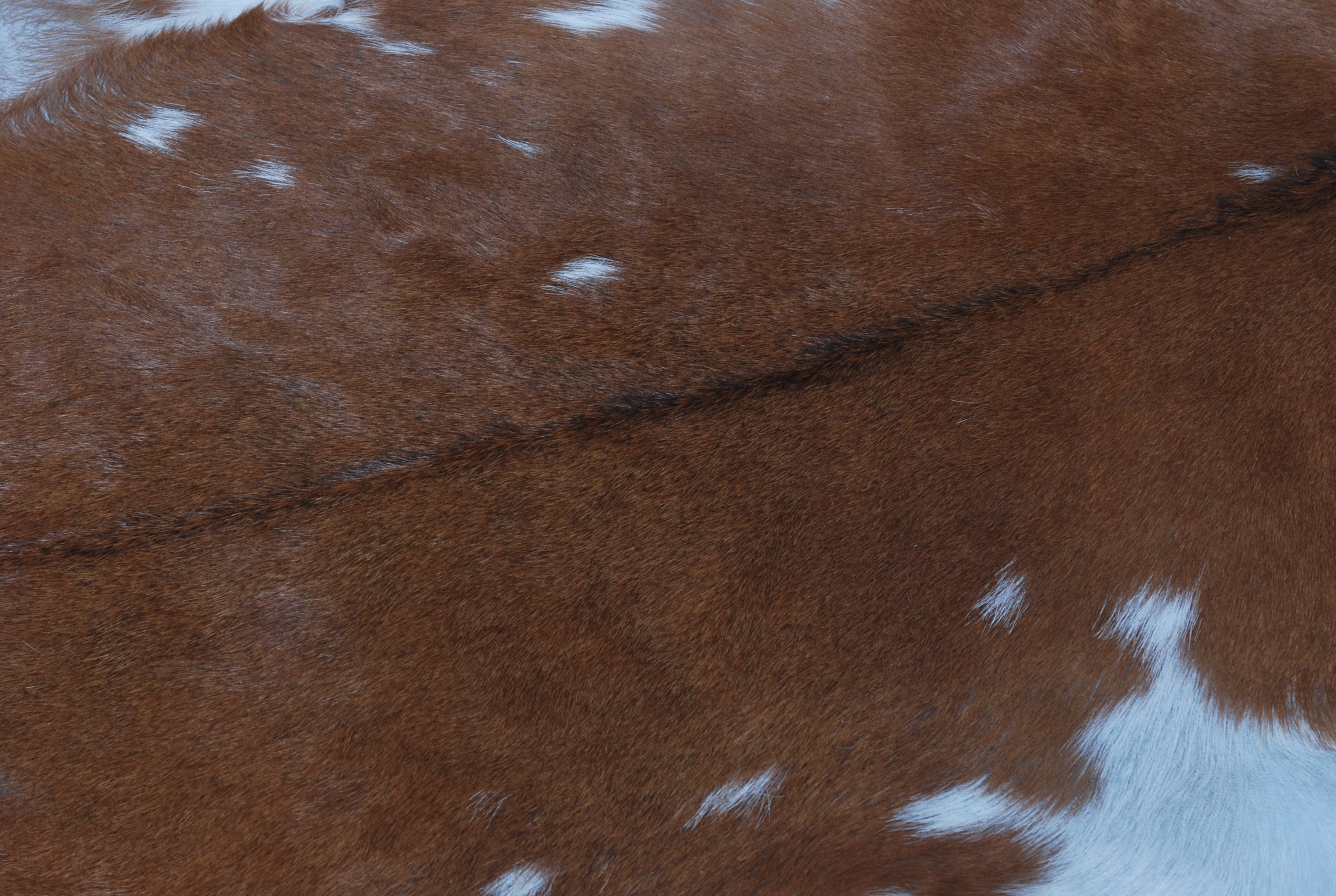 Premium Dark Brown Goat Hide Rug - Soft and Durable for Sophisticated Interiors