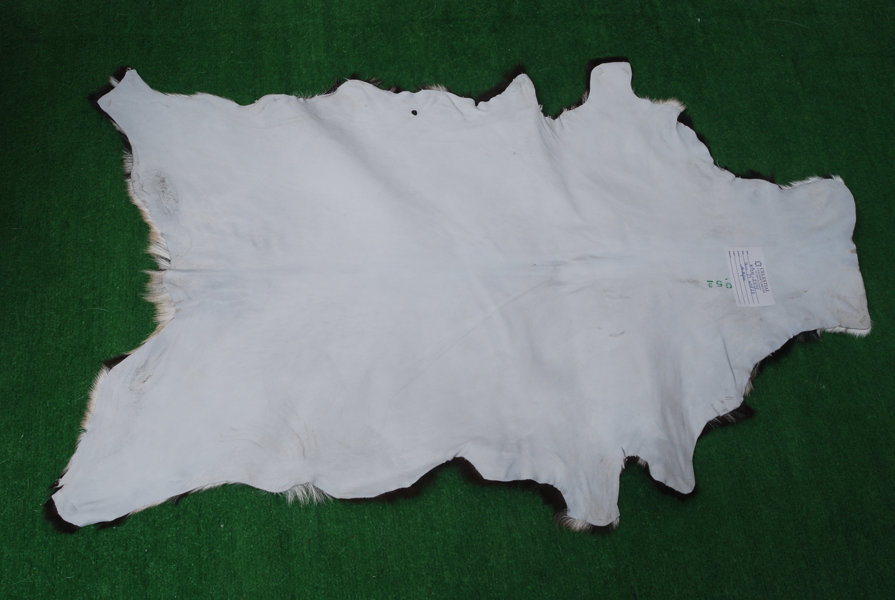 Premium Black and White Goat Skin Rug - Genuine Hair-On Leather for Home Décor