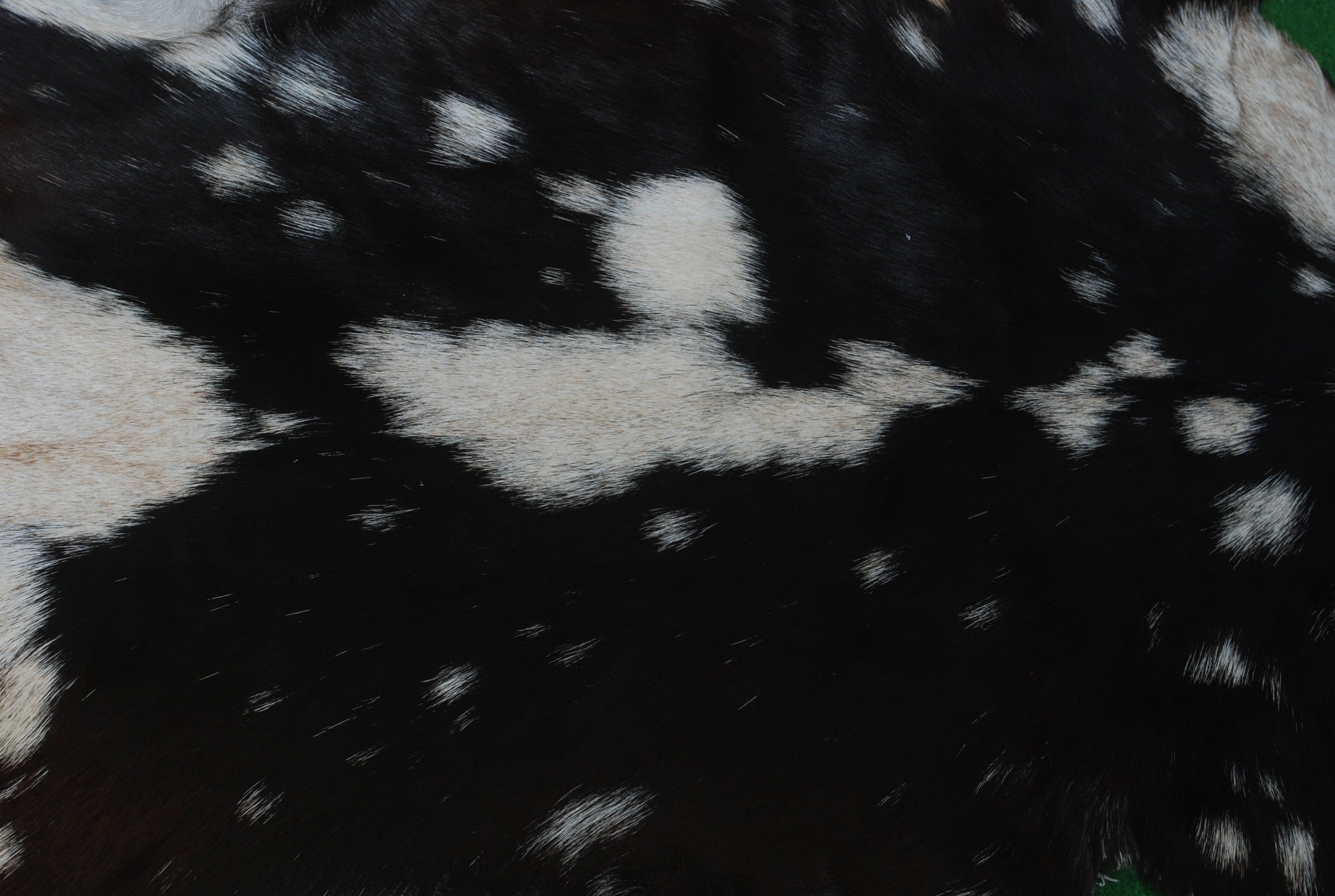 Premium Black and White Goat Skin Rug - Genuine Hair-On Leather for Home Décor