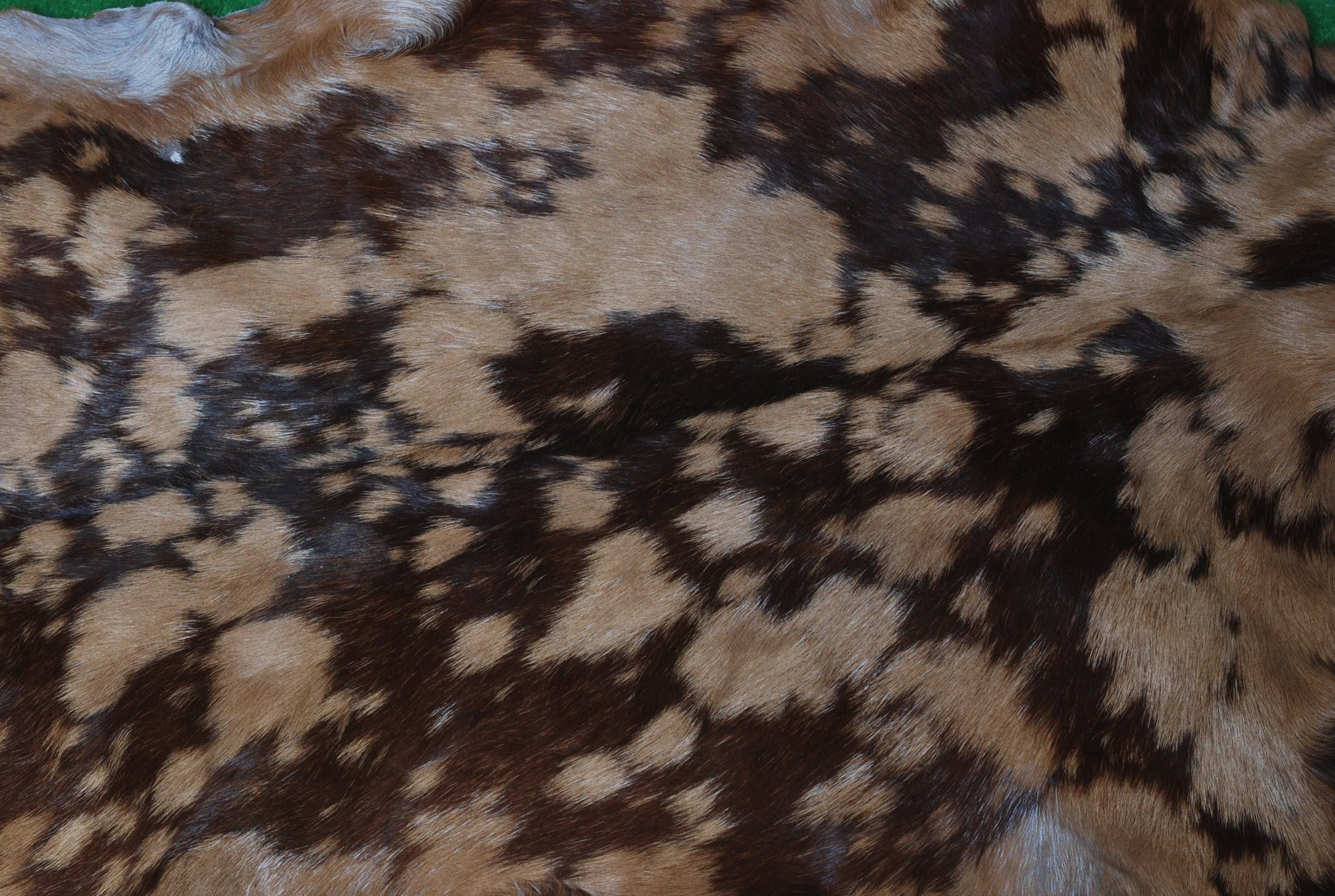 Luxurious Brown & Black Genuine Goat Skin Rug for Home Décor