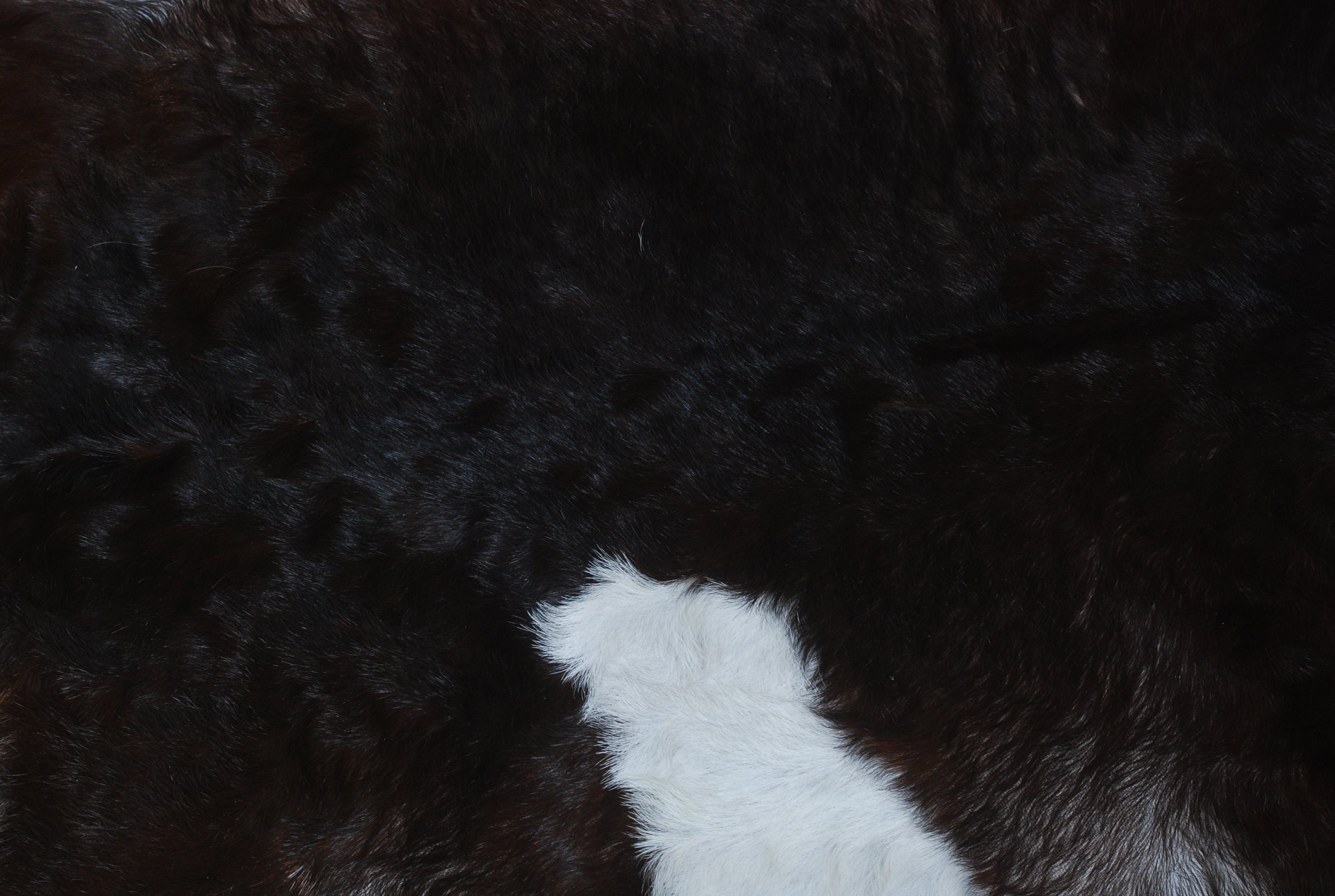 Stylish Black and White Goat Hide Rug - Unique Natural Pattern for Modern Homes