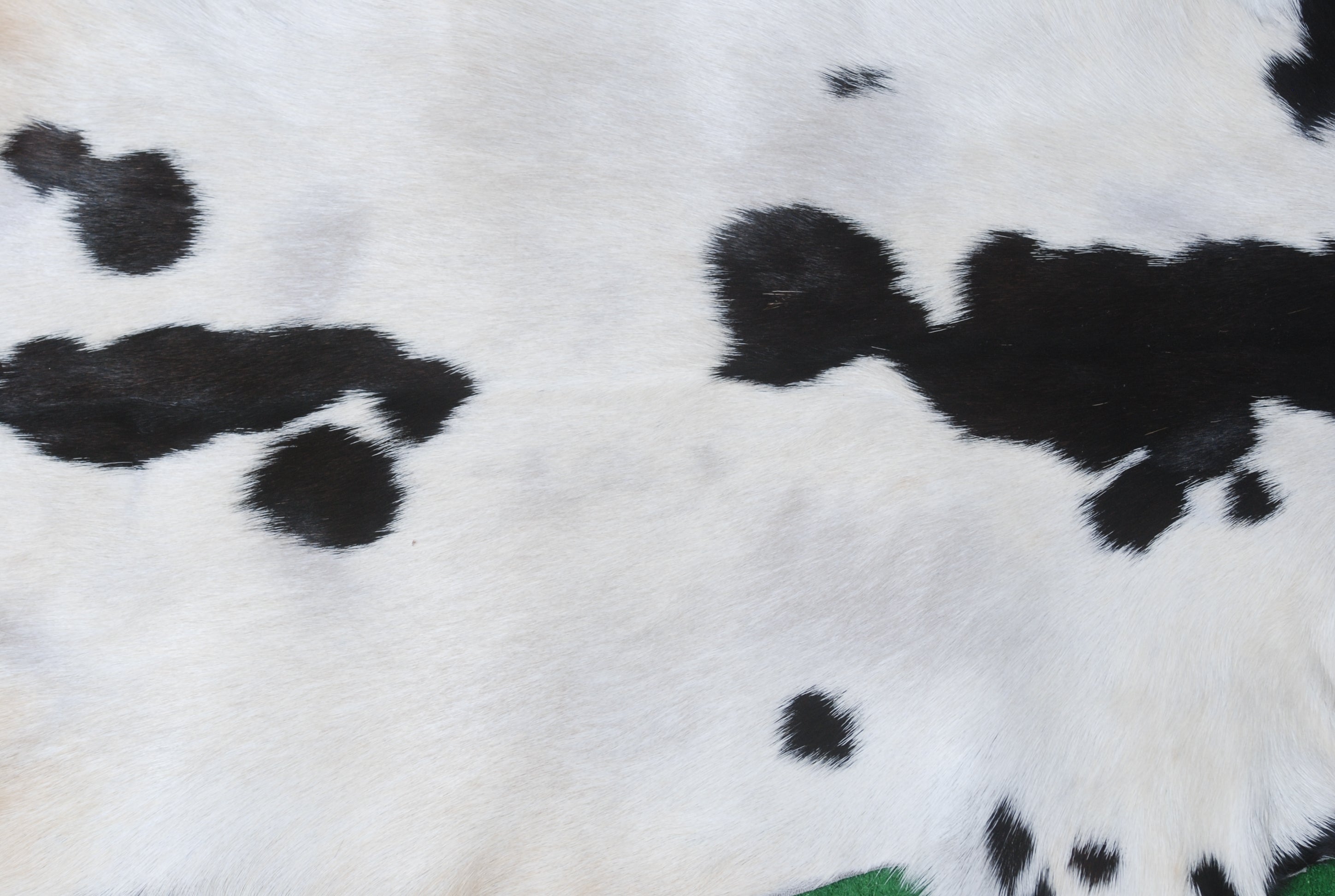 Decorative Black and White Goat Skin Rug - Genuine Leather for Sophisticated Spaces