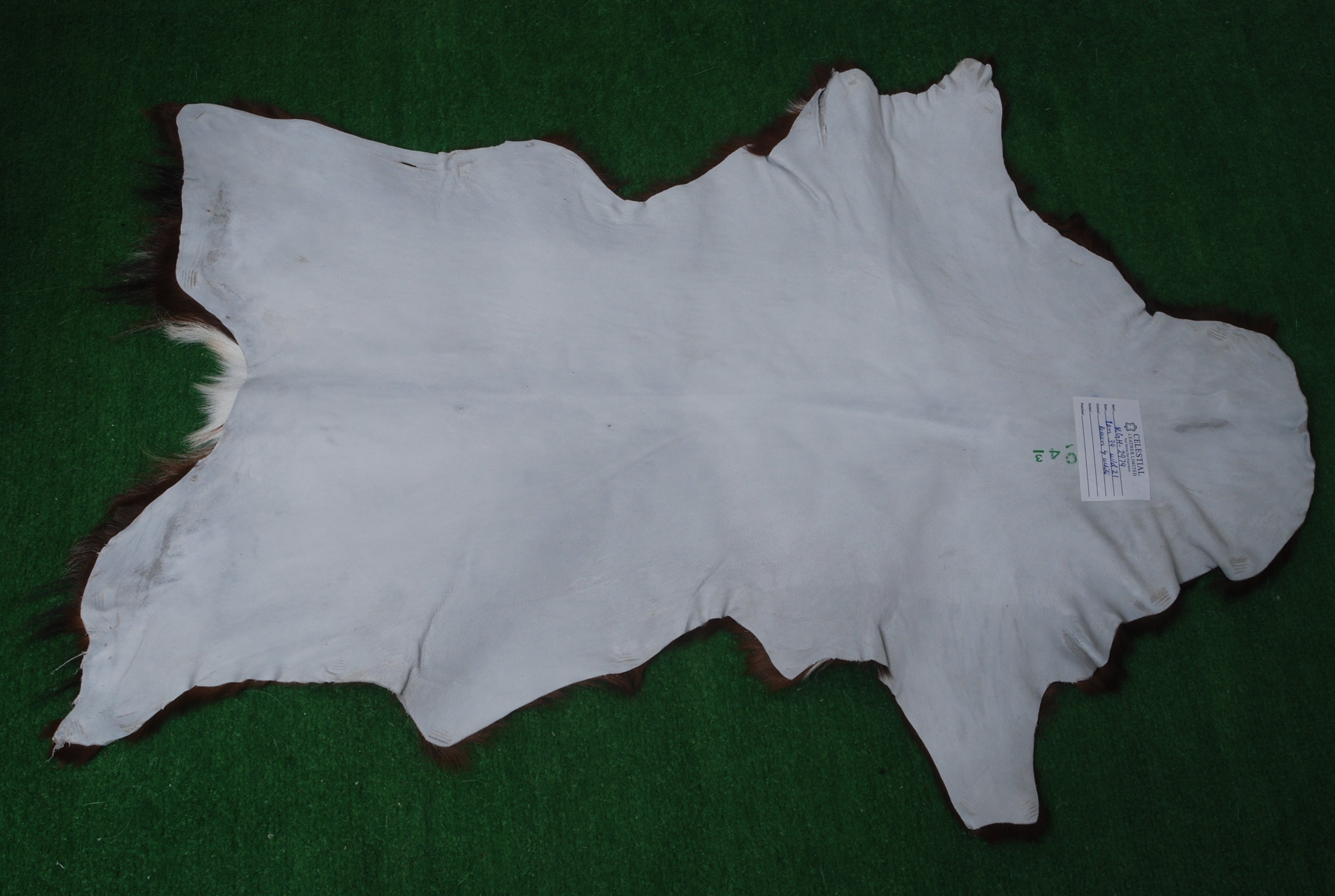 Luxurious Dark Brown Goat Skin Rug - Genuine Hair-On Leather for Elegant Décor