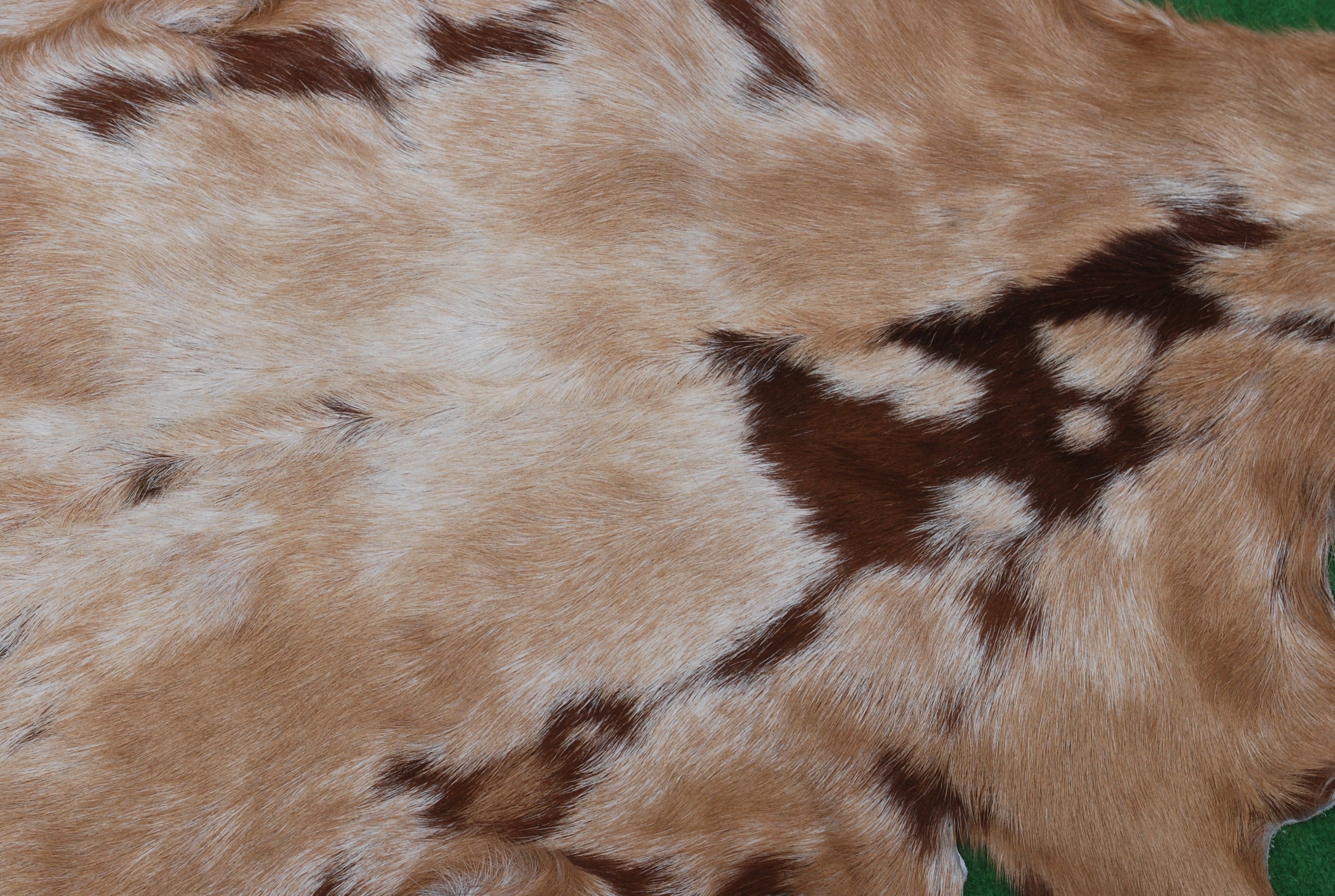 Goat Skin Rug: Tri-Color genuine Goat hide rug