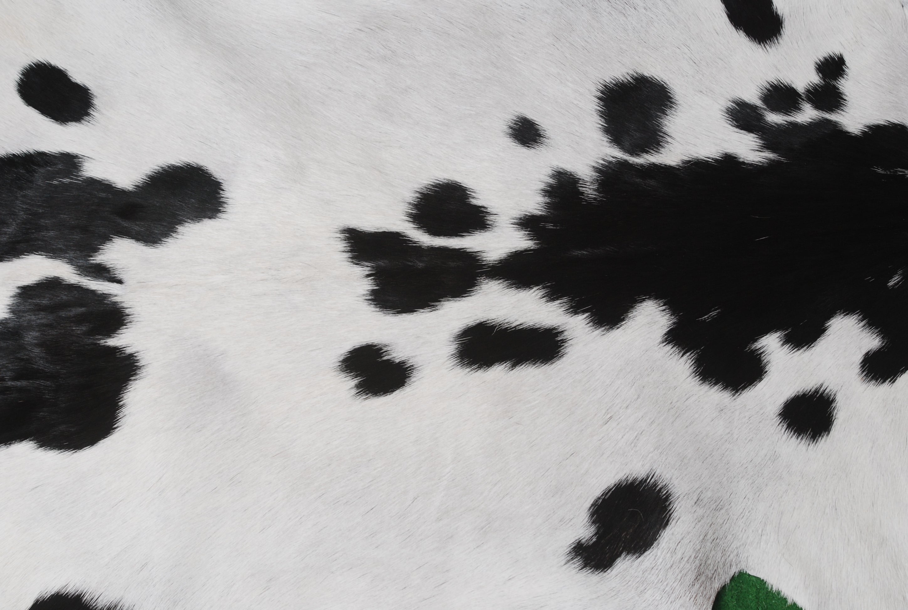 Stylish Black and White Goat Hide Rug - Unique Natural Pattern for Modern Homes