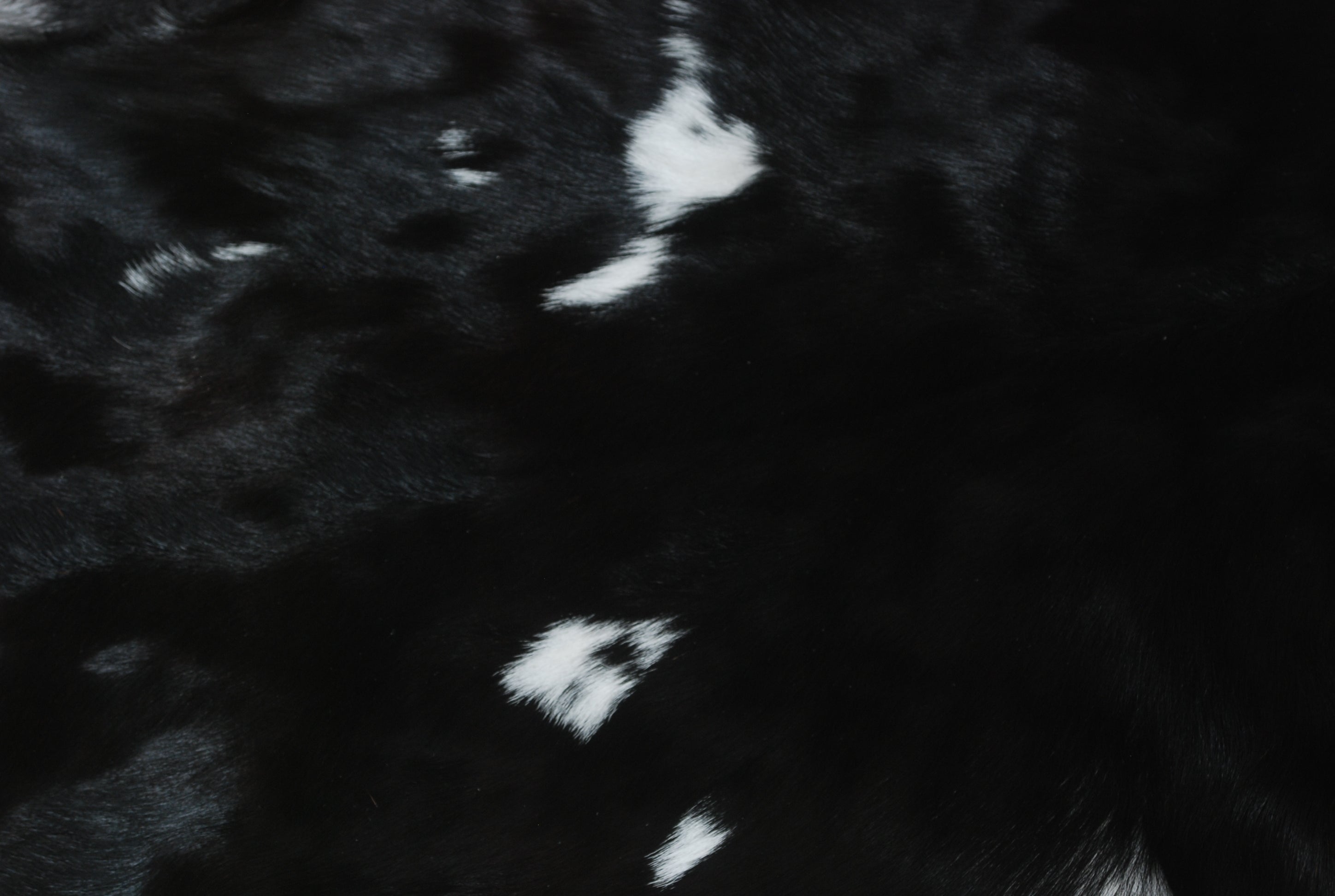 Luxury Black & White Goat Skin Floor Rug - Soft, Durable, and Eco-Friendly - Stylish Decor Accent for High-Traffic Areas - Celestial Leather Limited