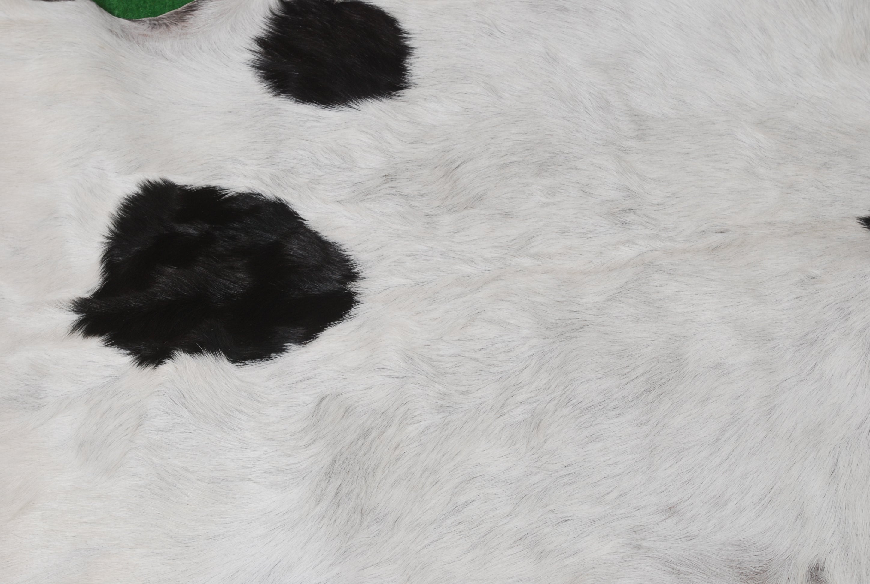 Luxurious Black and White Goat Skin Rug - Natural Hair-On Leather for Home Styling