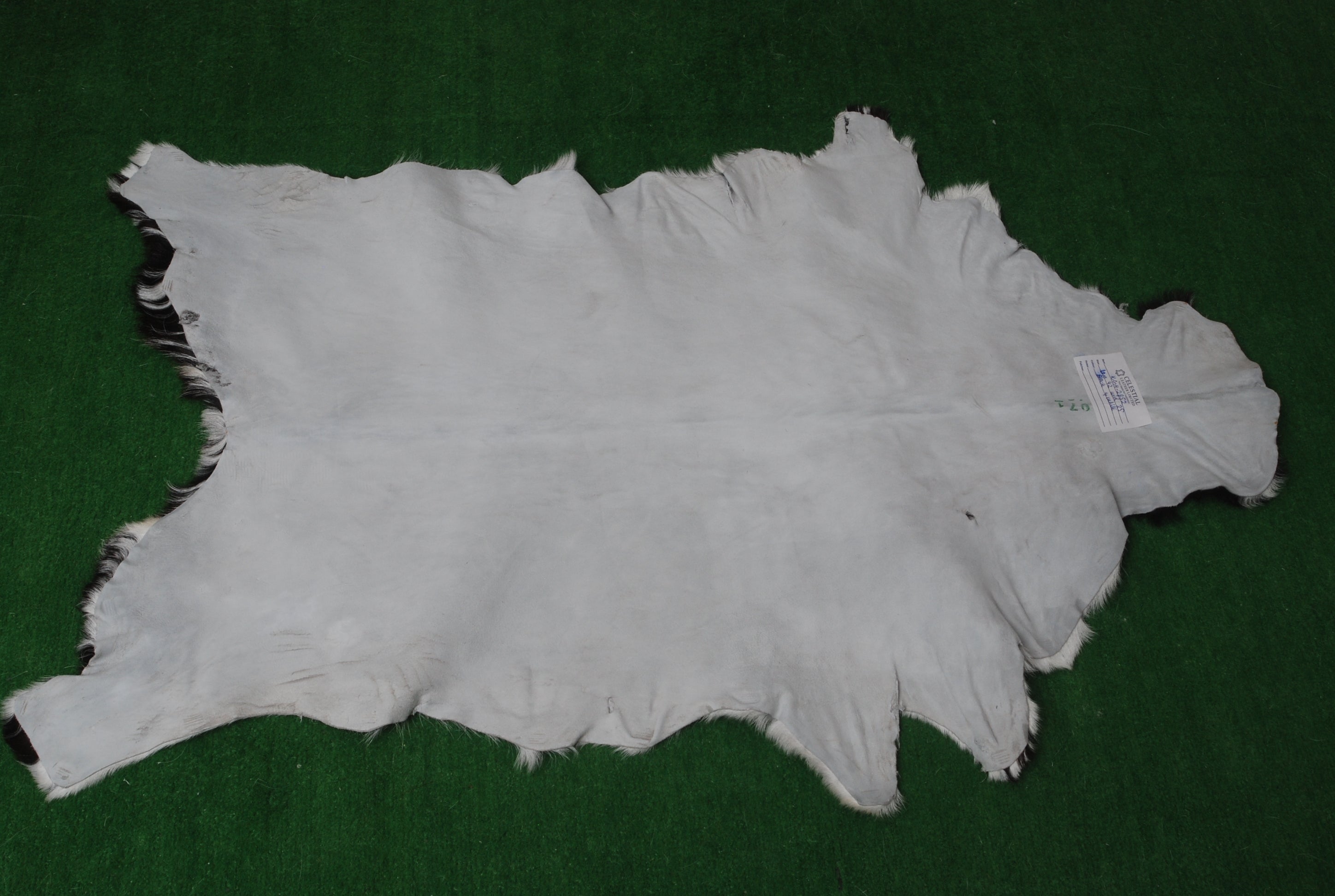 Luxury Black & White Natural Goatskin Rug | Modern Decor | Hypoallergenic - Non-shedding | Sustainable Eco-friendly Design