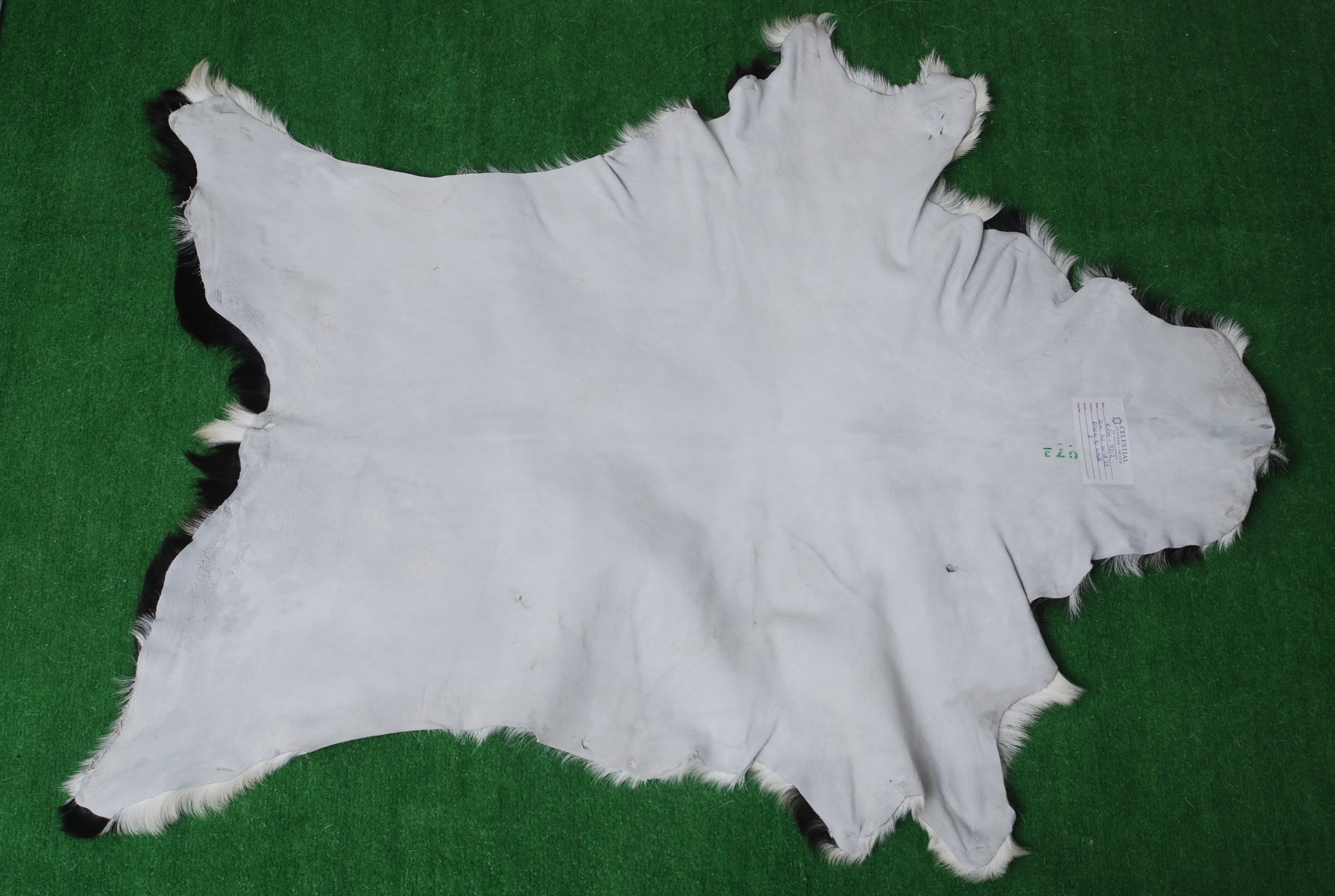 Luxurious Black and White Goat Skin Rug - Natural Hair-On Leather for Home Styling