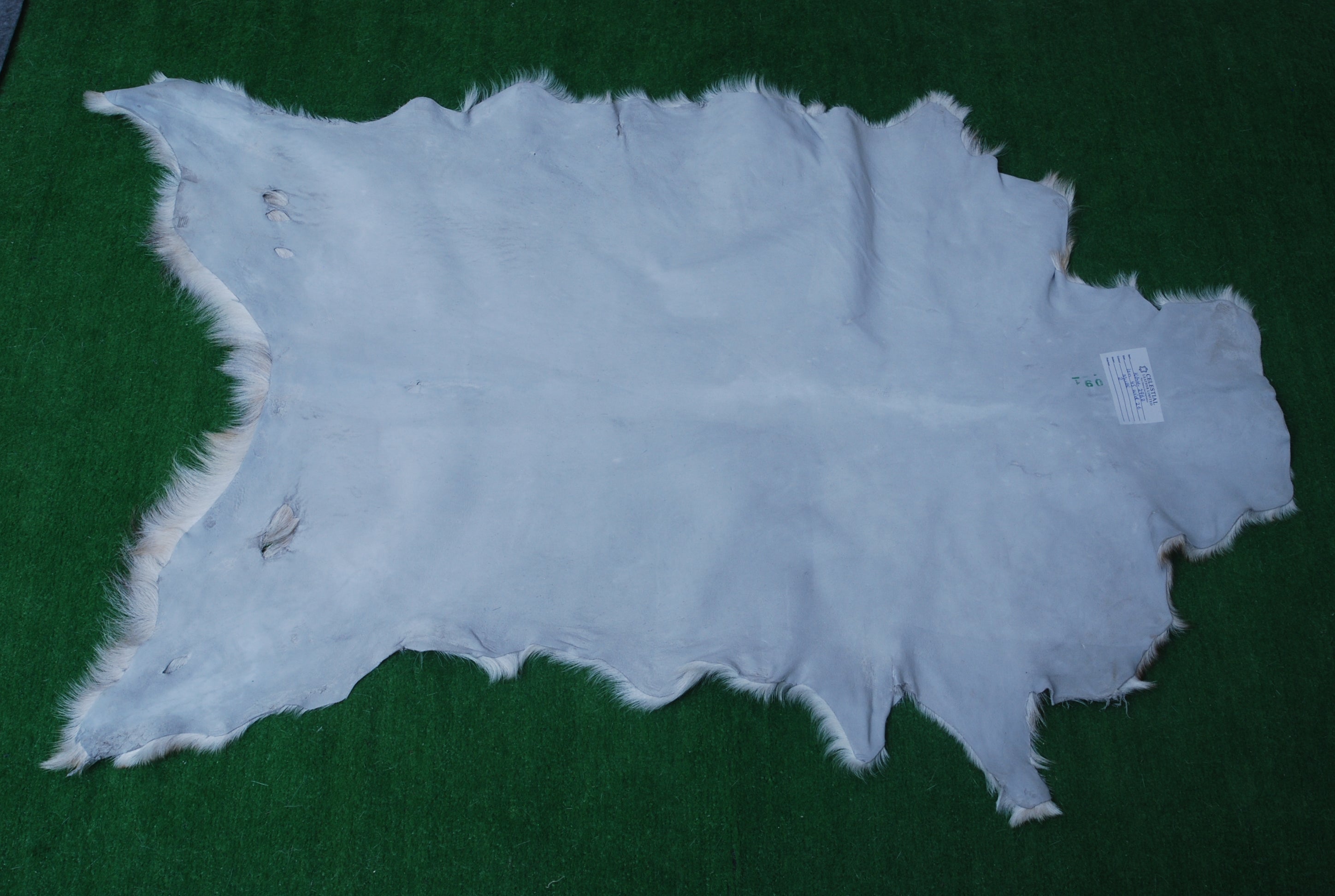 Brown and White Handmade Goat Skin Rug – Classic Elegance for Your Home